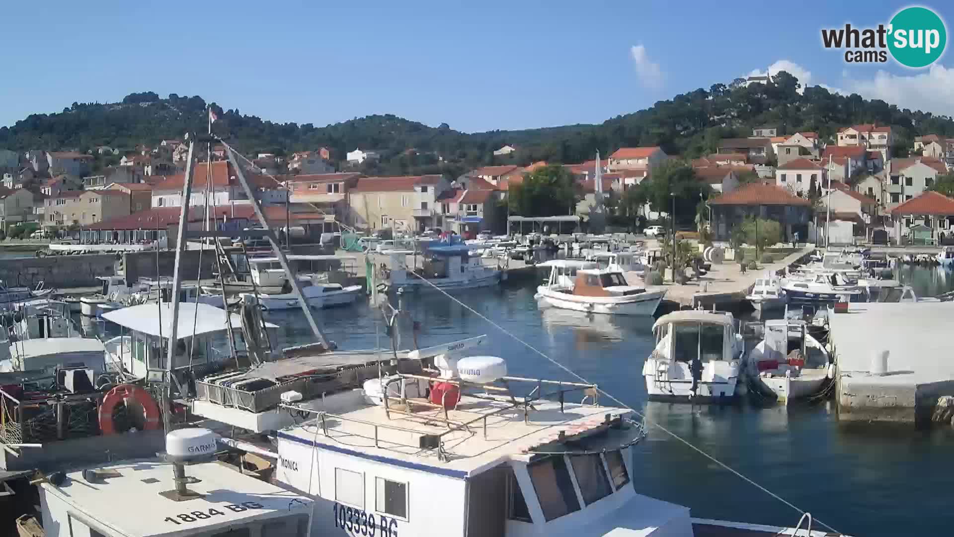 Webcam Tkon – marina e la città