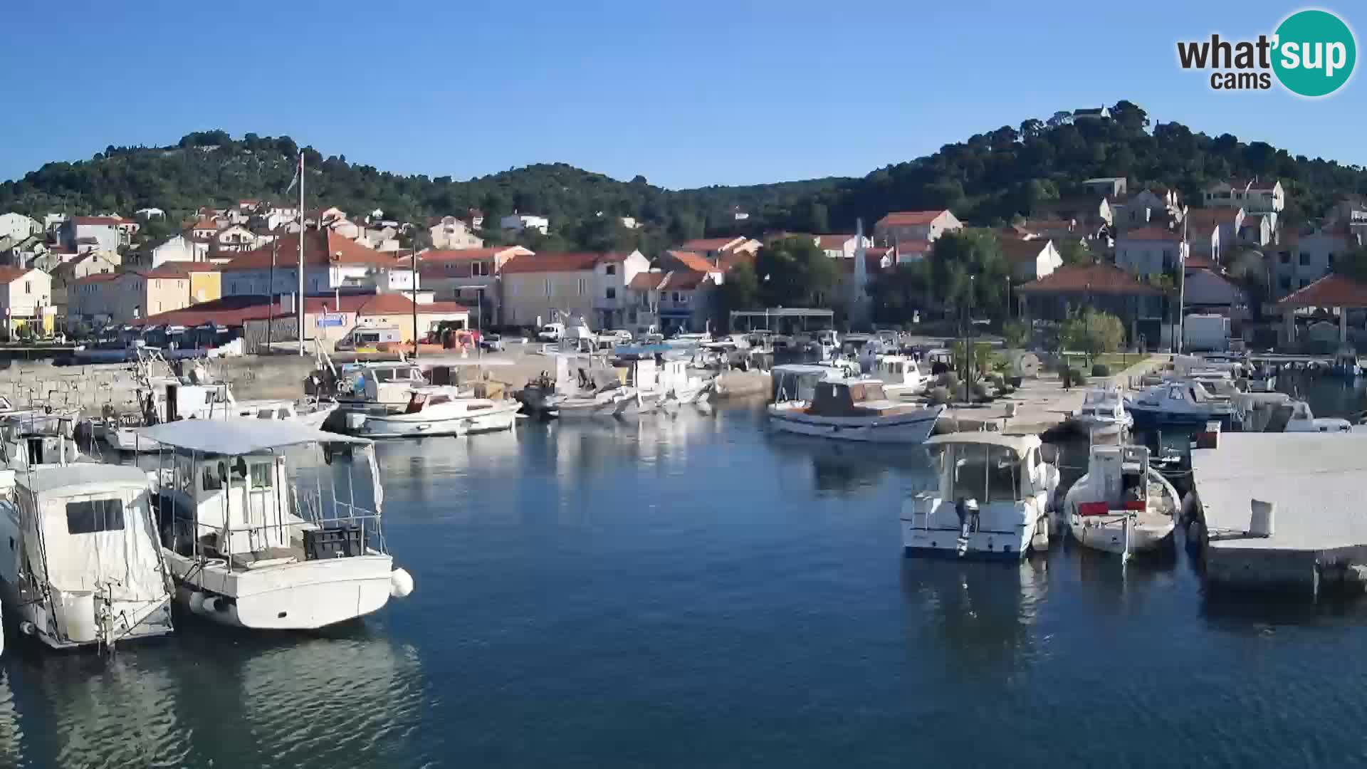 Spletna kamera Tkon – Marina in mesto