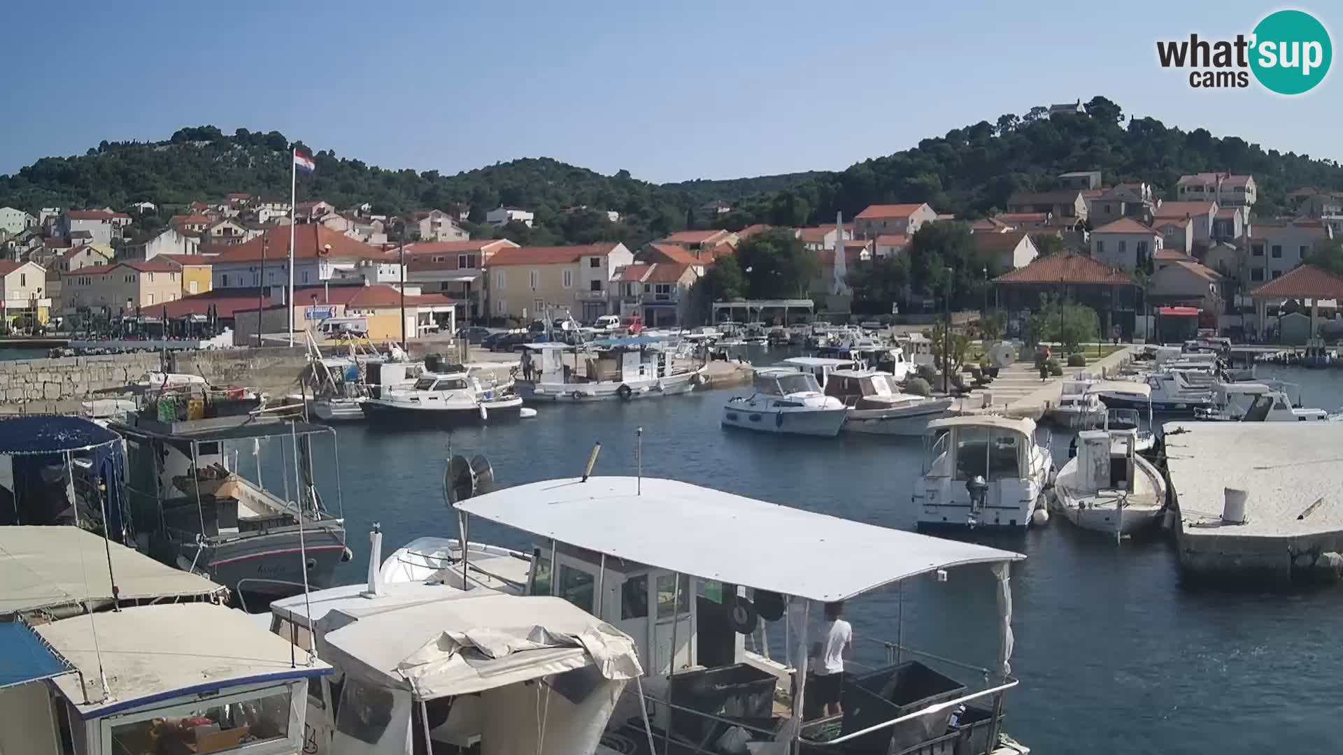 Webcam Tkon – marina e la città