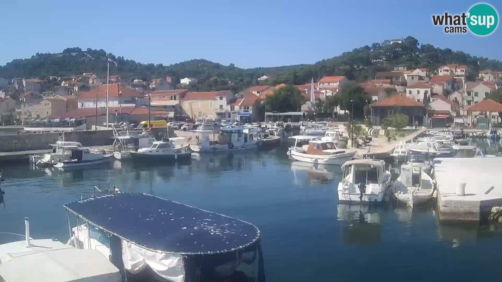 Spletna kamera Tkon – Marina in mesto