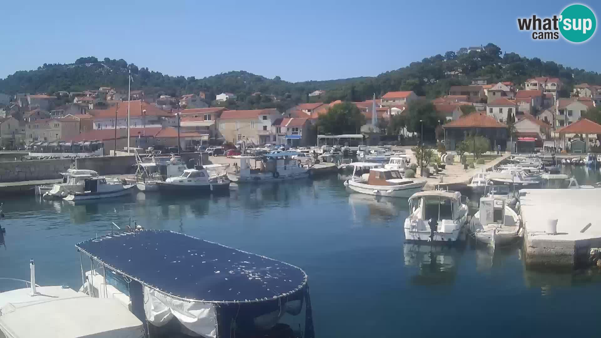 Webcam Tkon – marina e la città