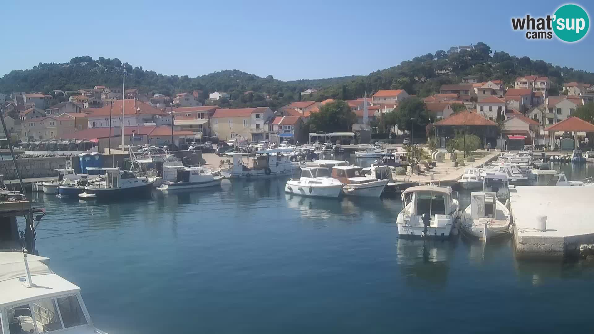 Webcam Tkon – marina e la città