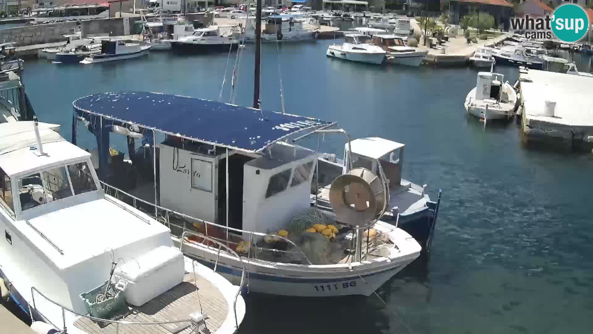 Webcam Tkon – marina e la città