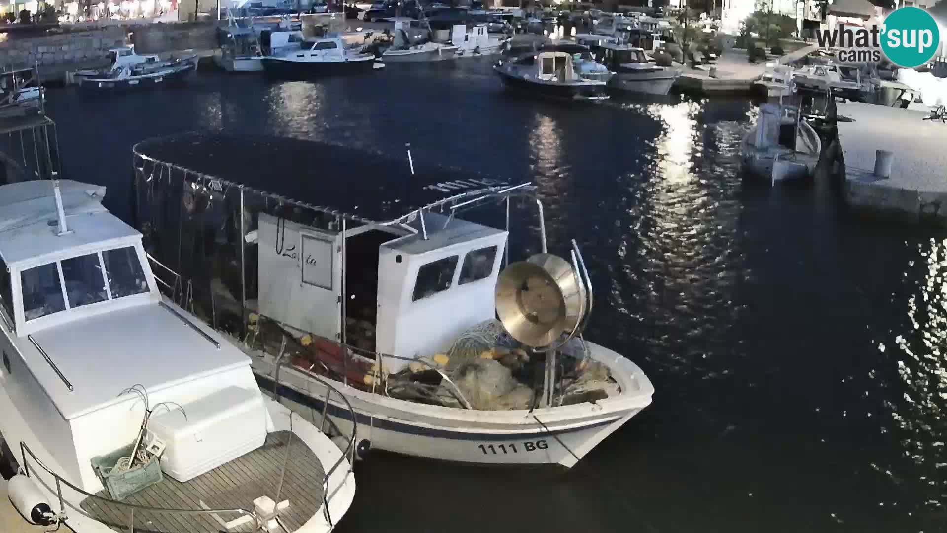 Webcam Tkon – marina e la città