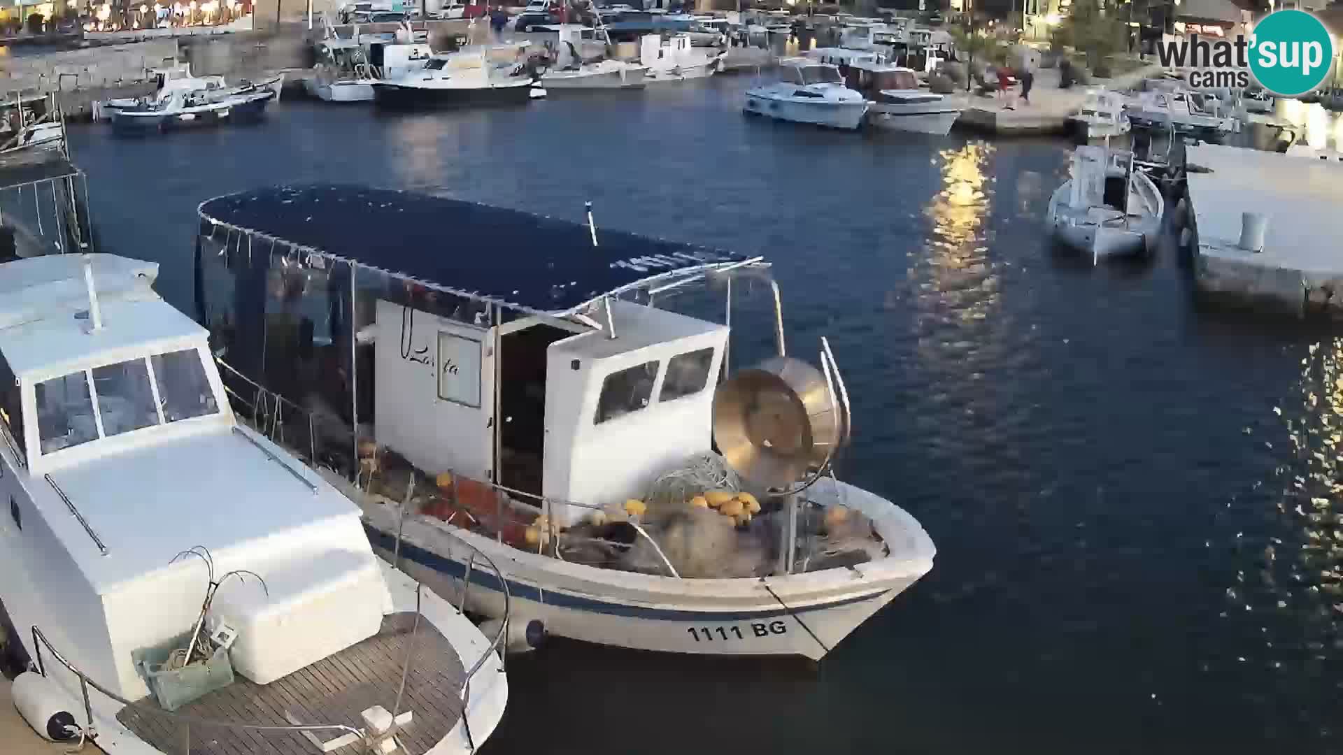 Webcam Tkon – marina e la città