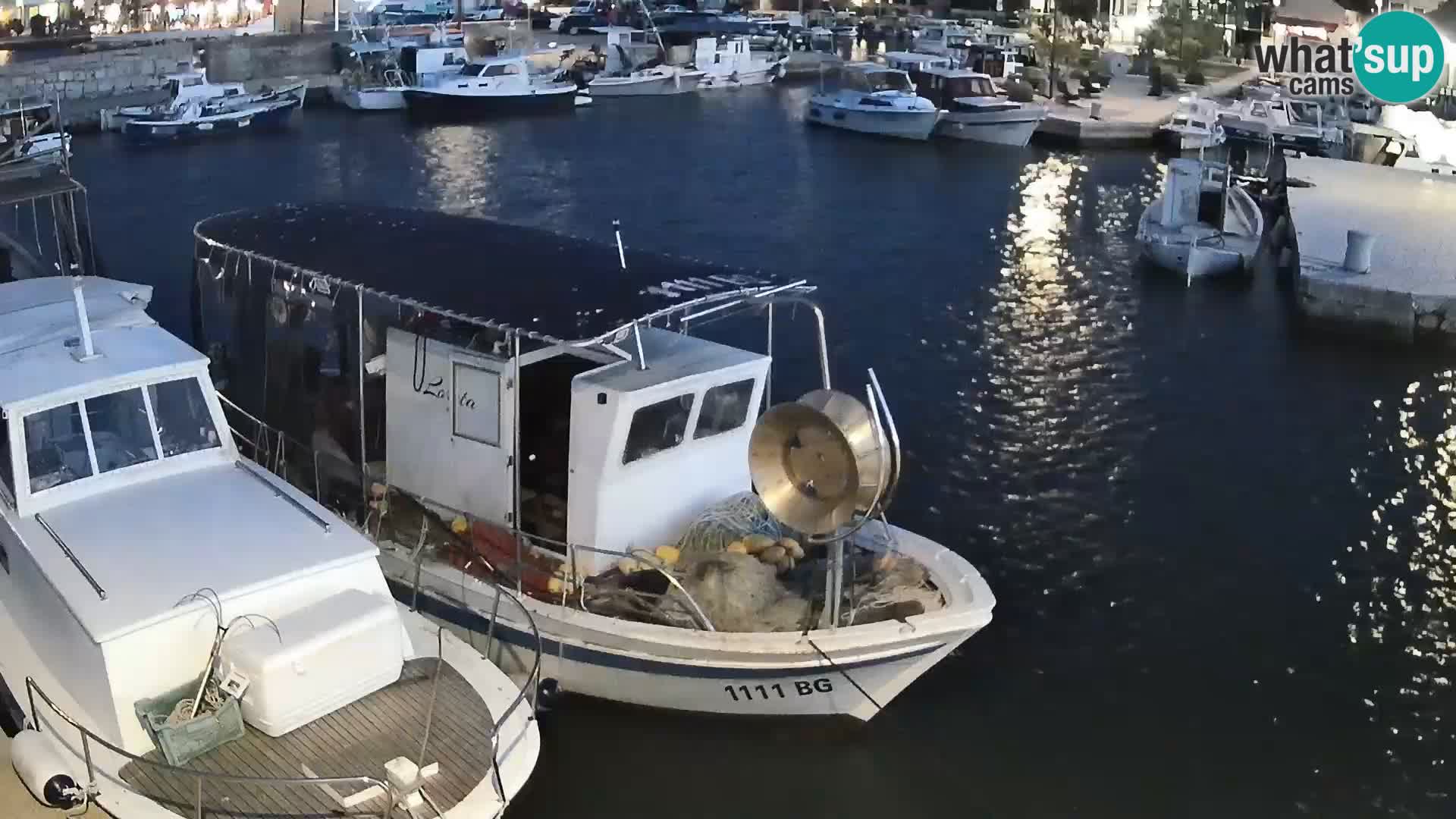 Webcam Tkon – marina e la città