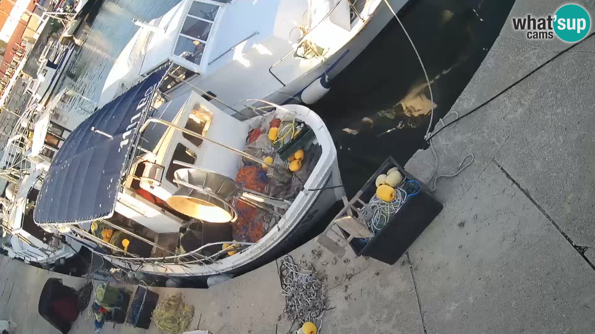Webcam Tkon – marina und staad