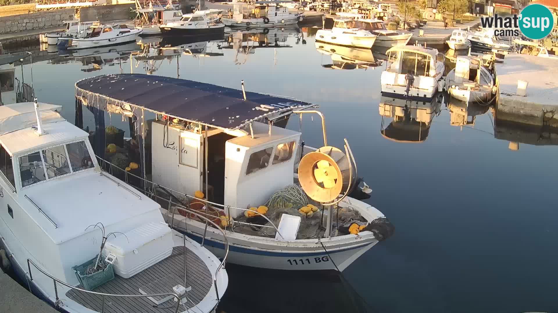 Webcam Tkon – marina e la città