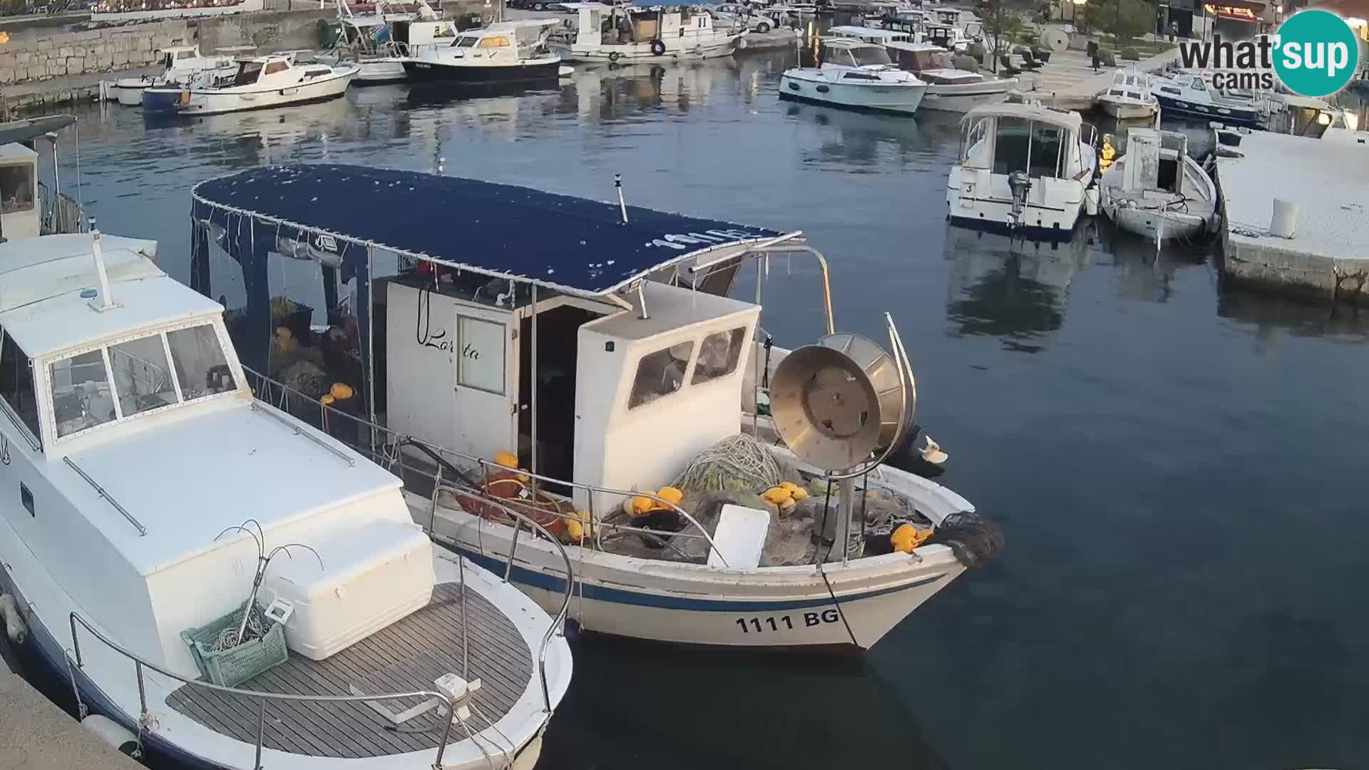 Spletna kamera Tkon – Marina in mesto