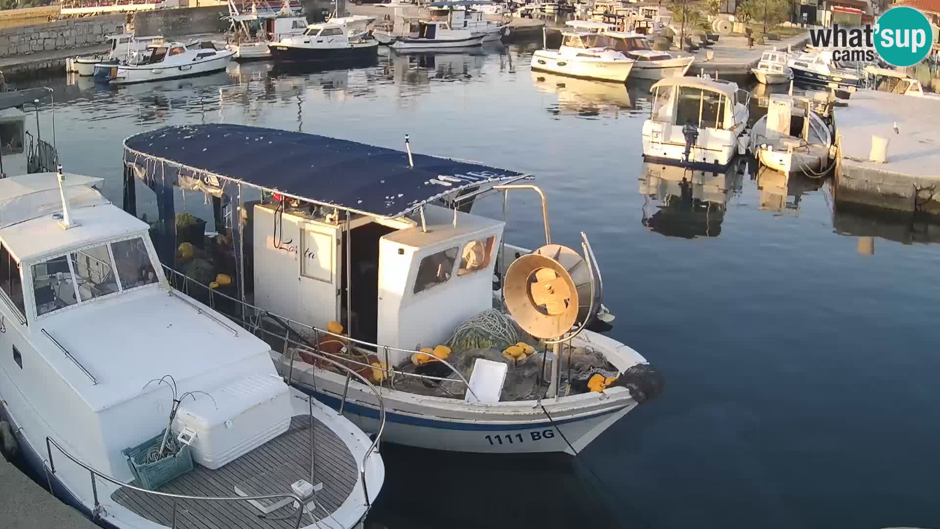 Webcam Tkon – marina e la città