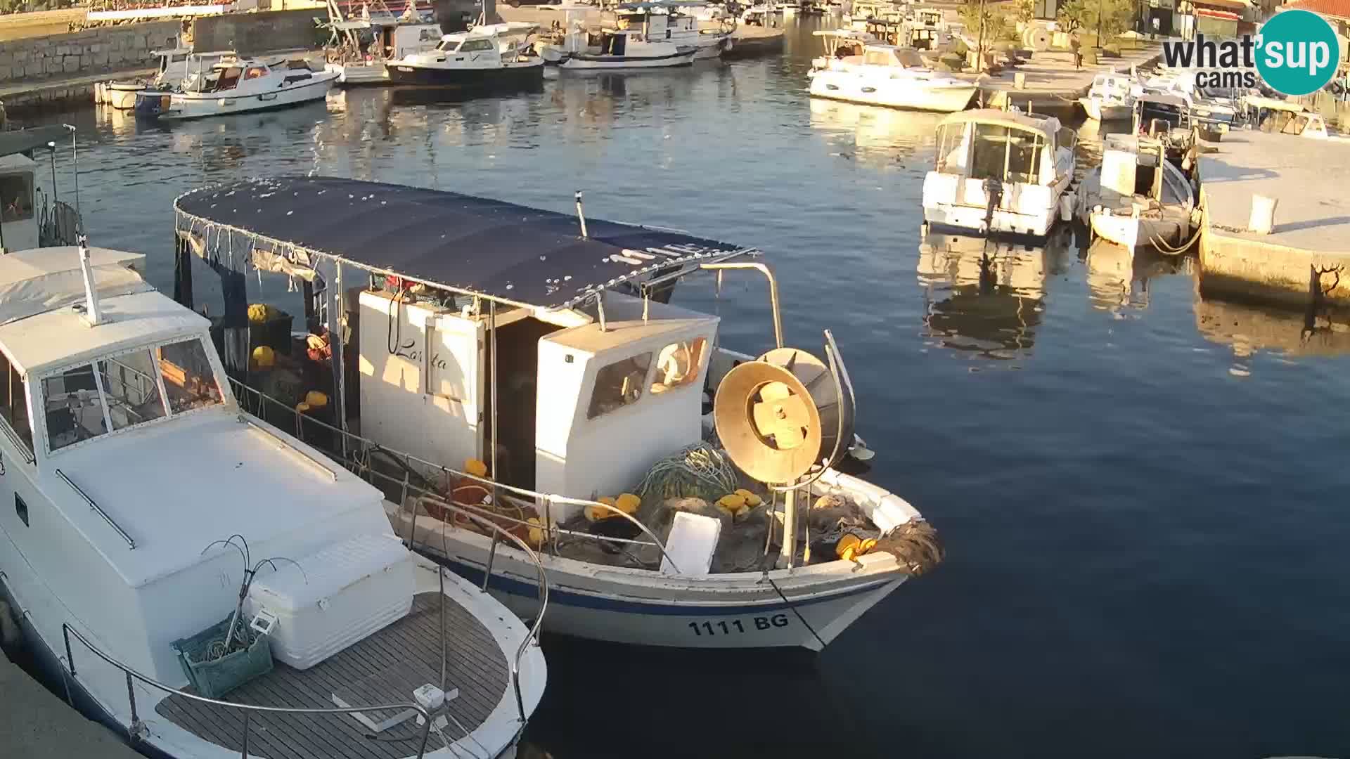Webcam Tkon – marina und staad