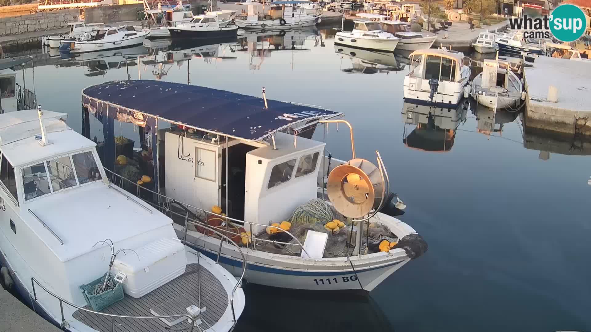 Webcam Tkon – marina e la città