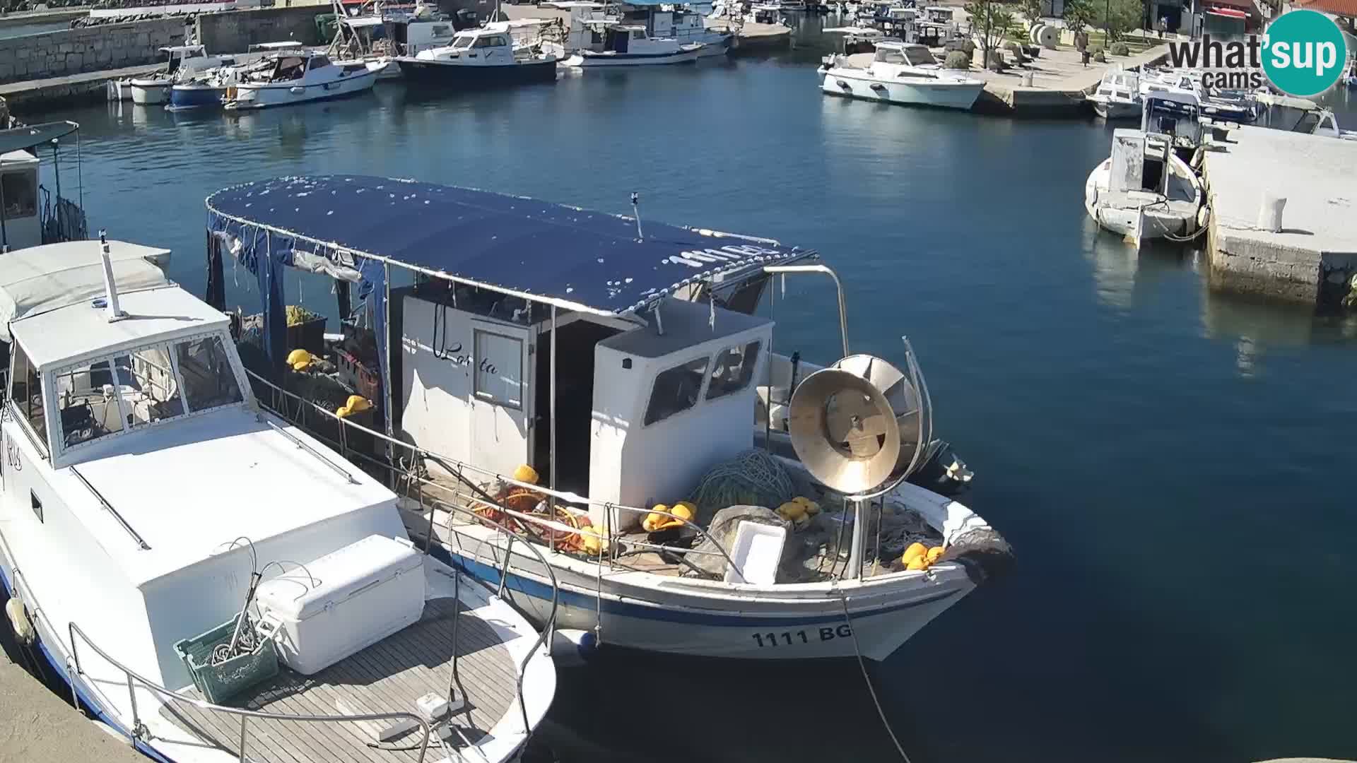 Webcam Tkon – marina e la città