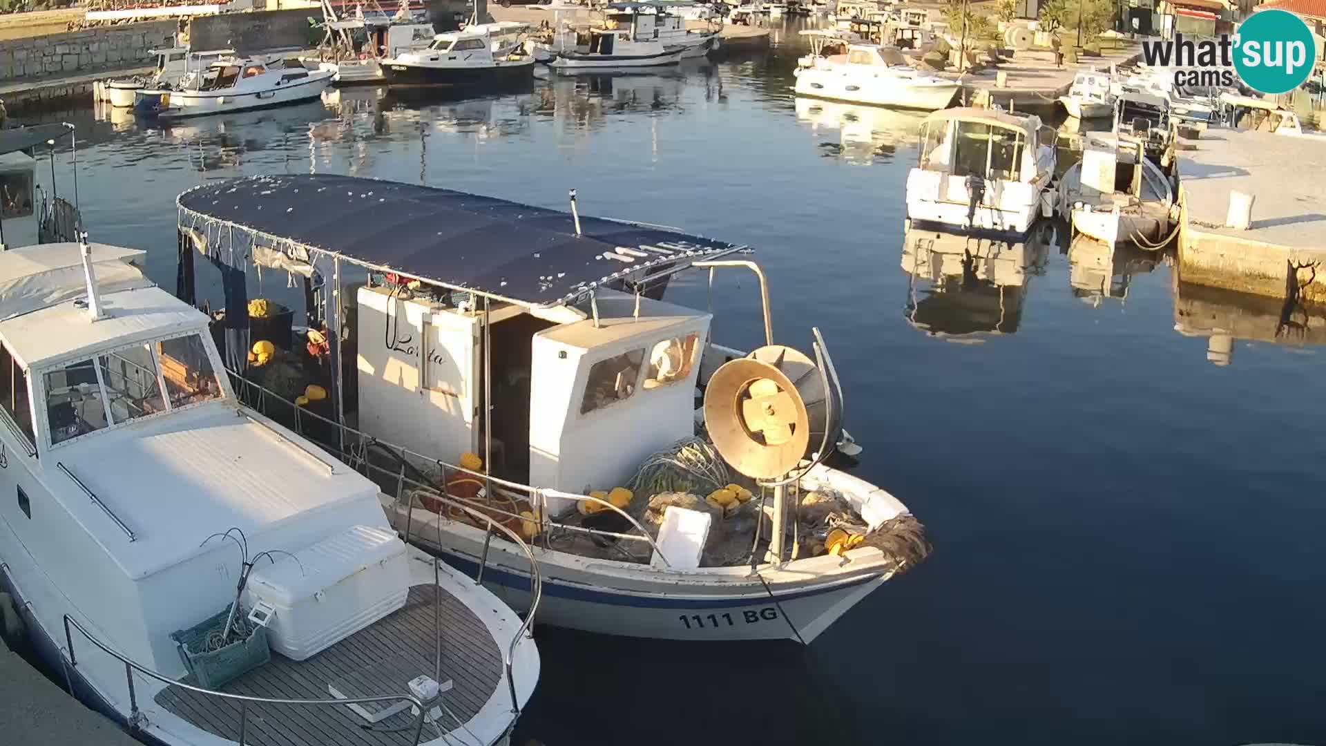 Webcam Tkon – marina and city