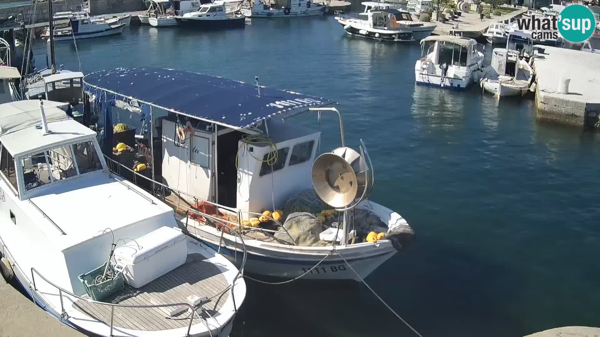 Webcam Tkon – marina und staad