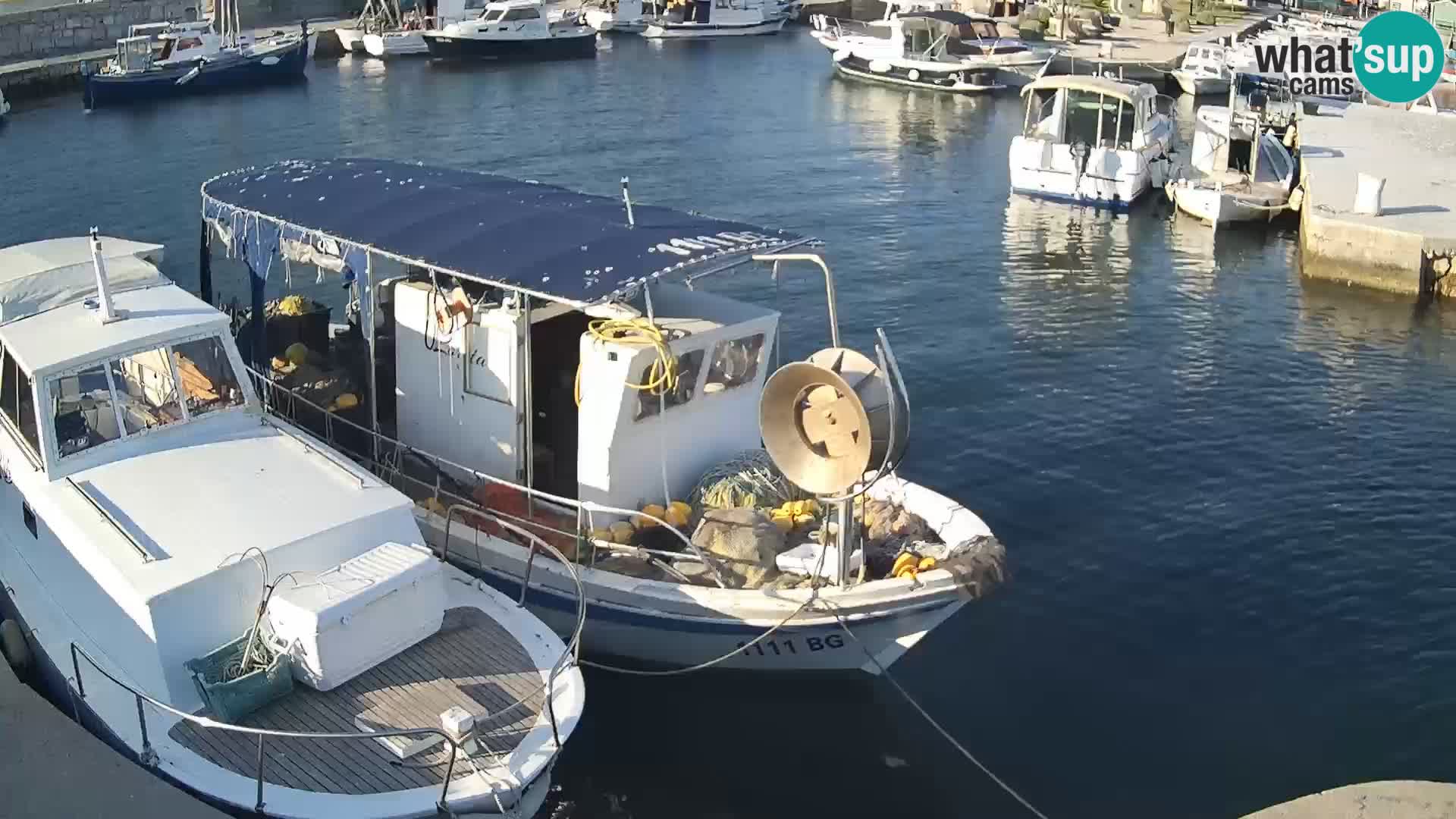 Spletna kamera Tkon – Marina in mesto