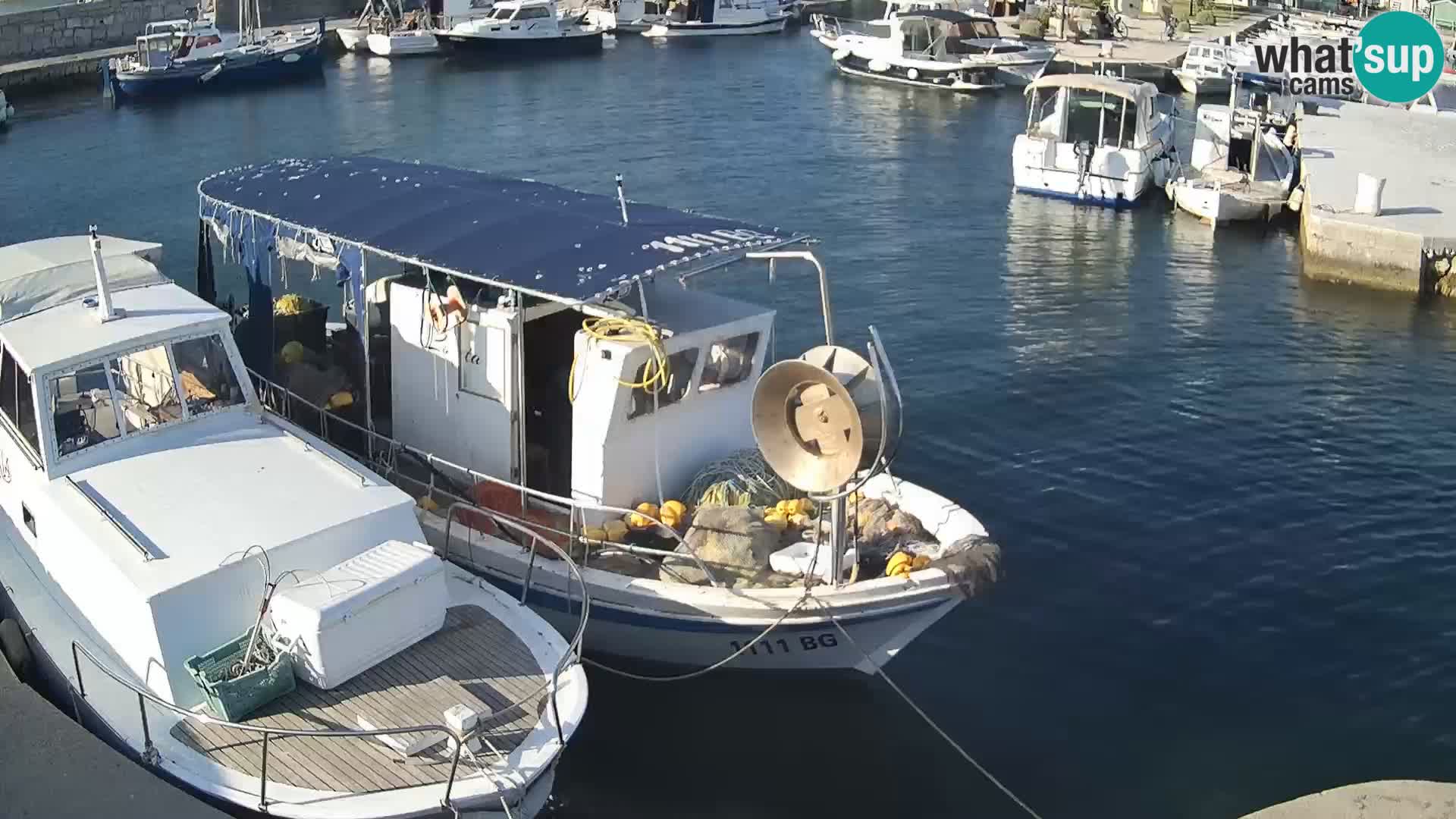 Spletna kamera Tkon – Marina in mesto
