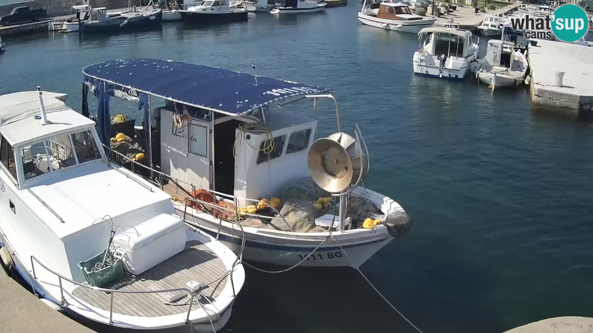 Spletna kamera Tkon – Marina in mesto