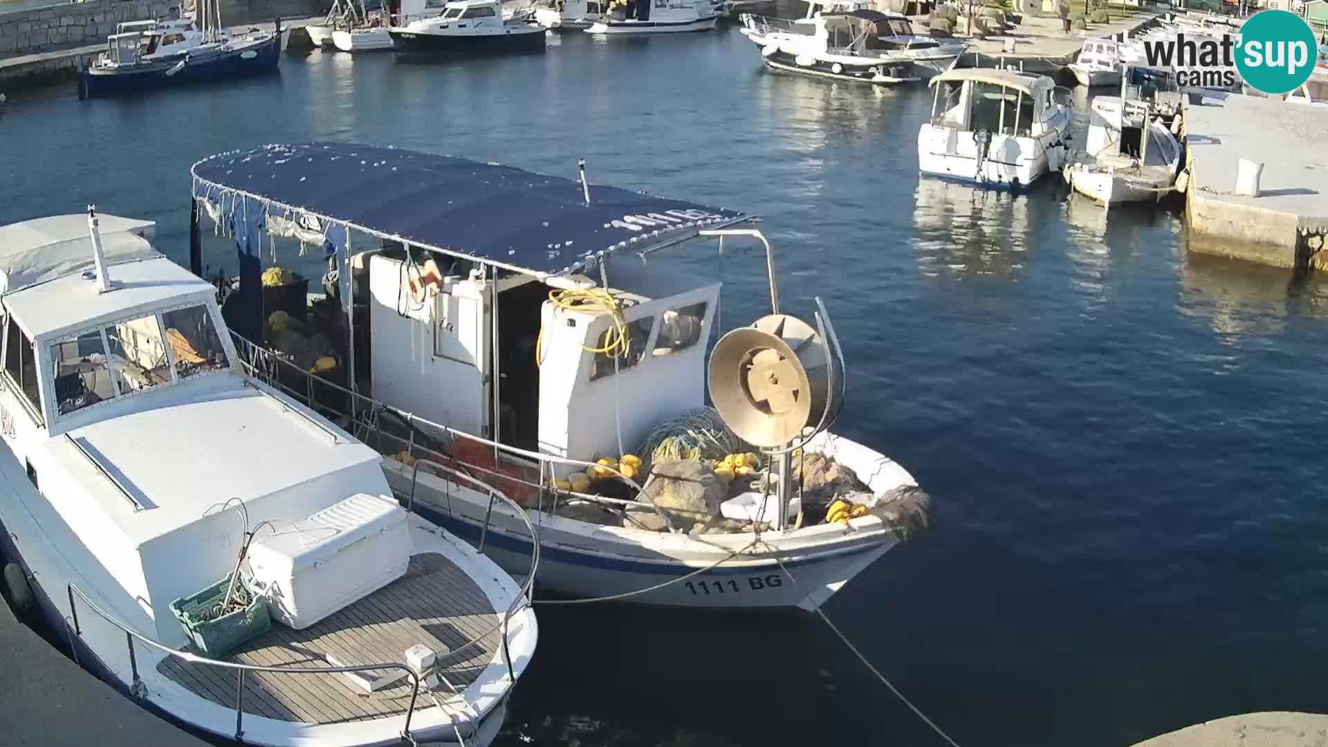 Spletna kamera Tkon – Marina in mesto
