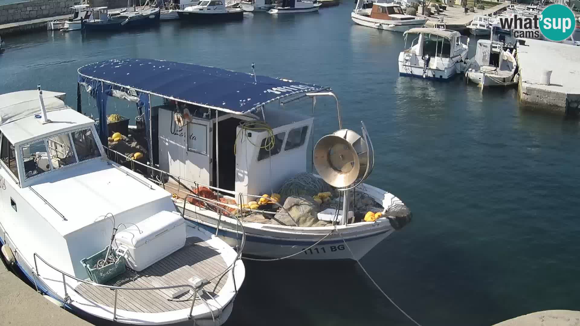 Spletna kamera Tkon – Marina in mesto