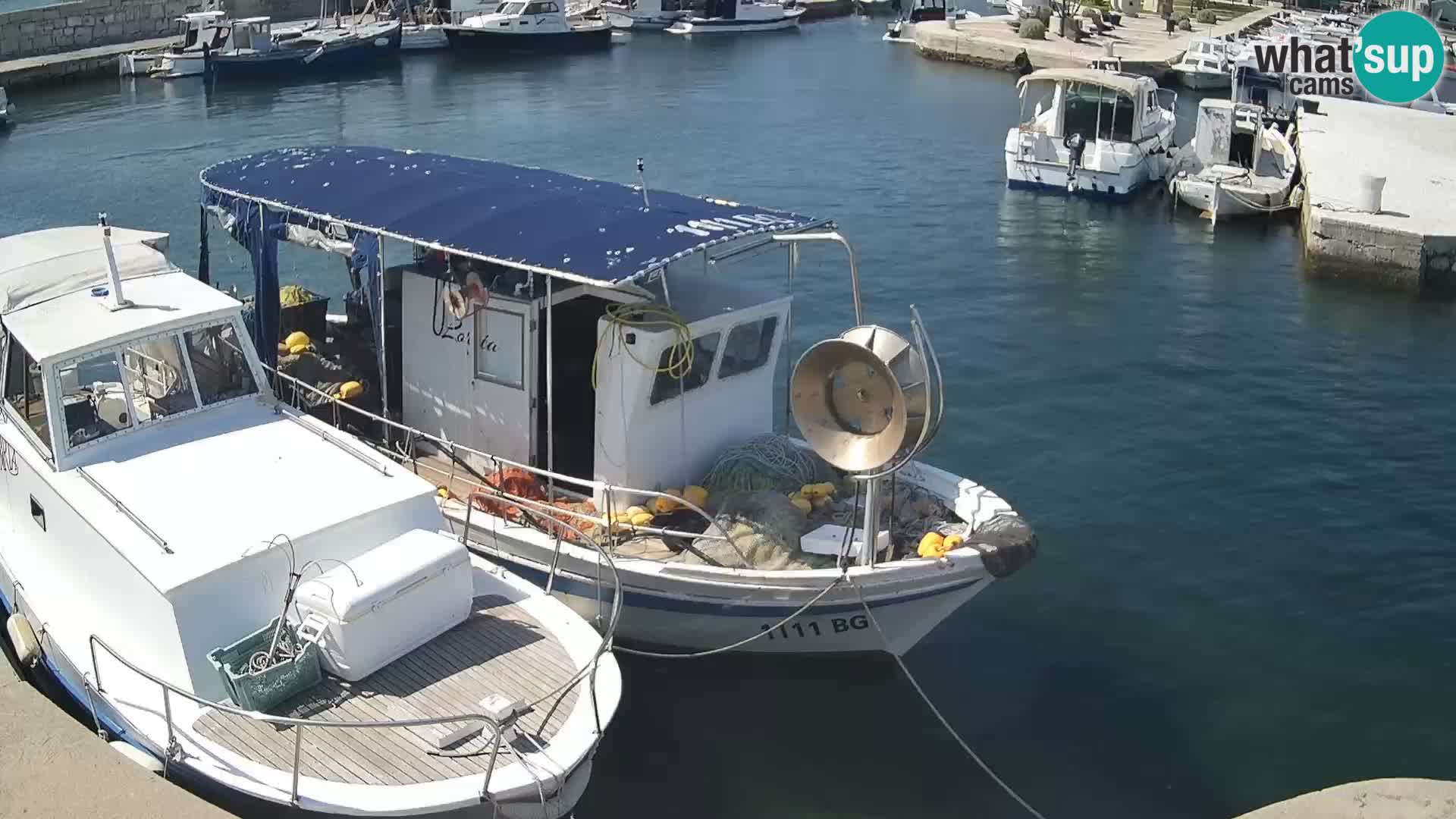 Webcam Tkon – marina e la città