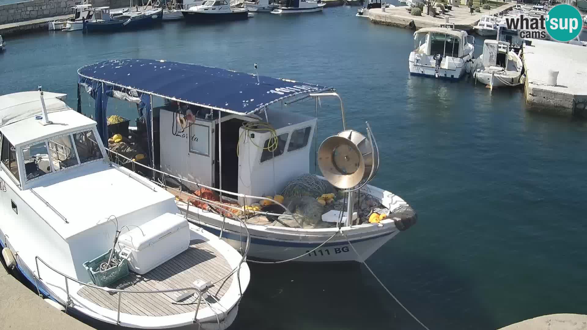Webcam Tkon – marina und staad