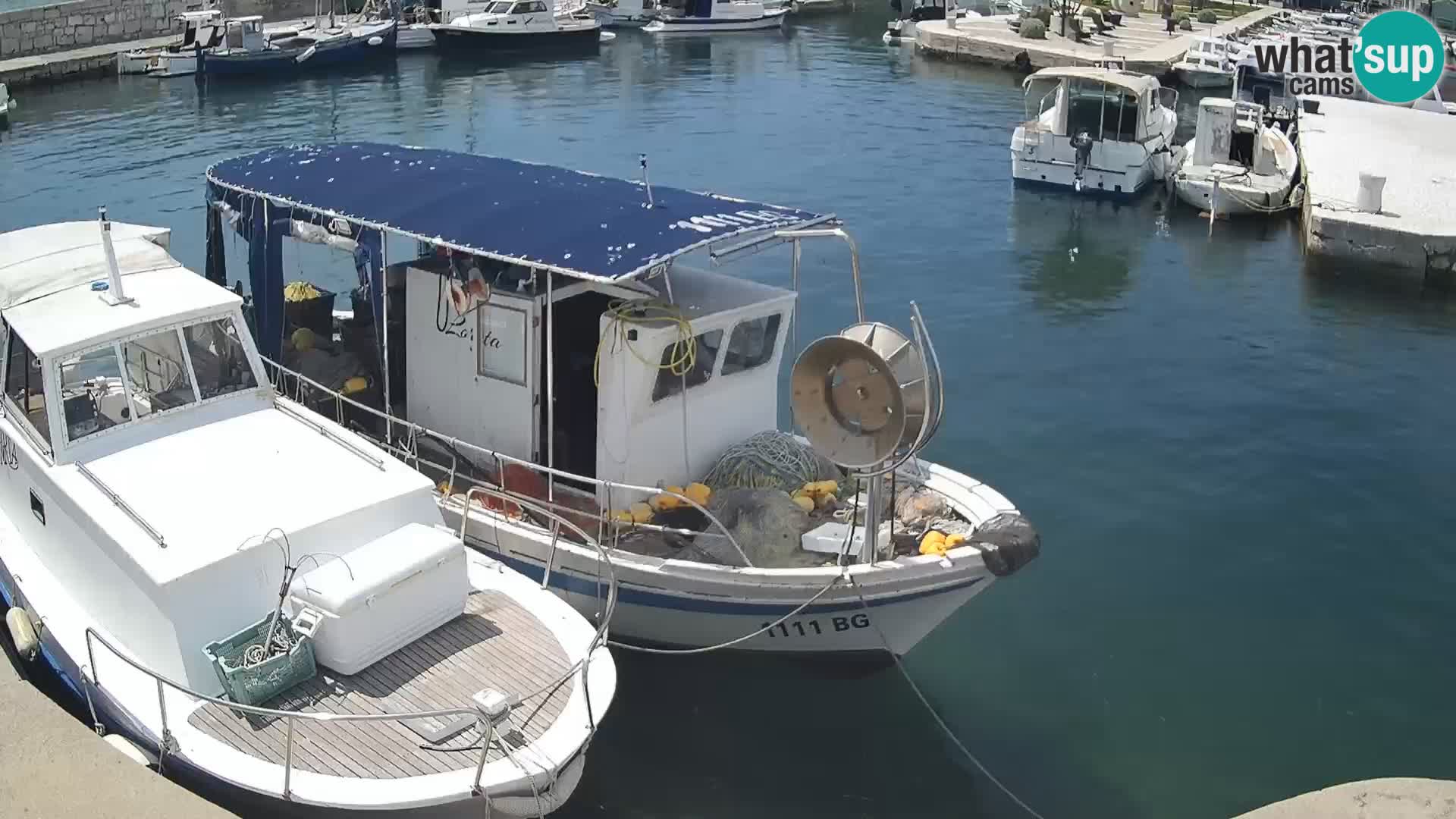 Spletna kamera Tkon – Marina in mesto