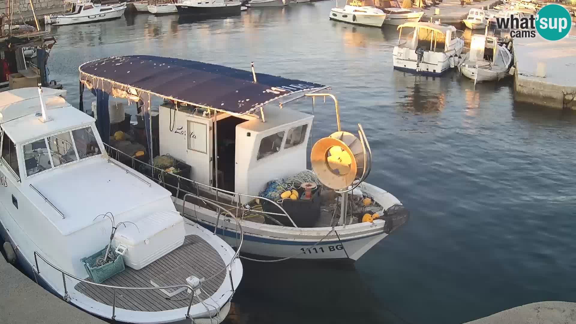 Webcam Tkon – marina e la città