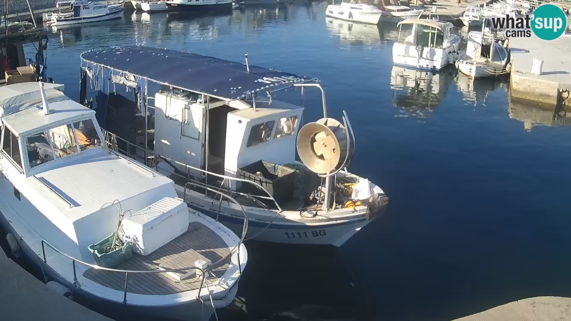Spletna kamera Tkon – Marina in mesto