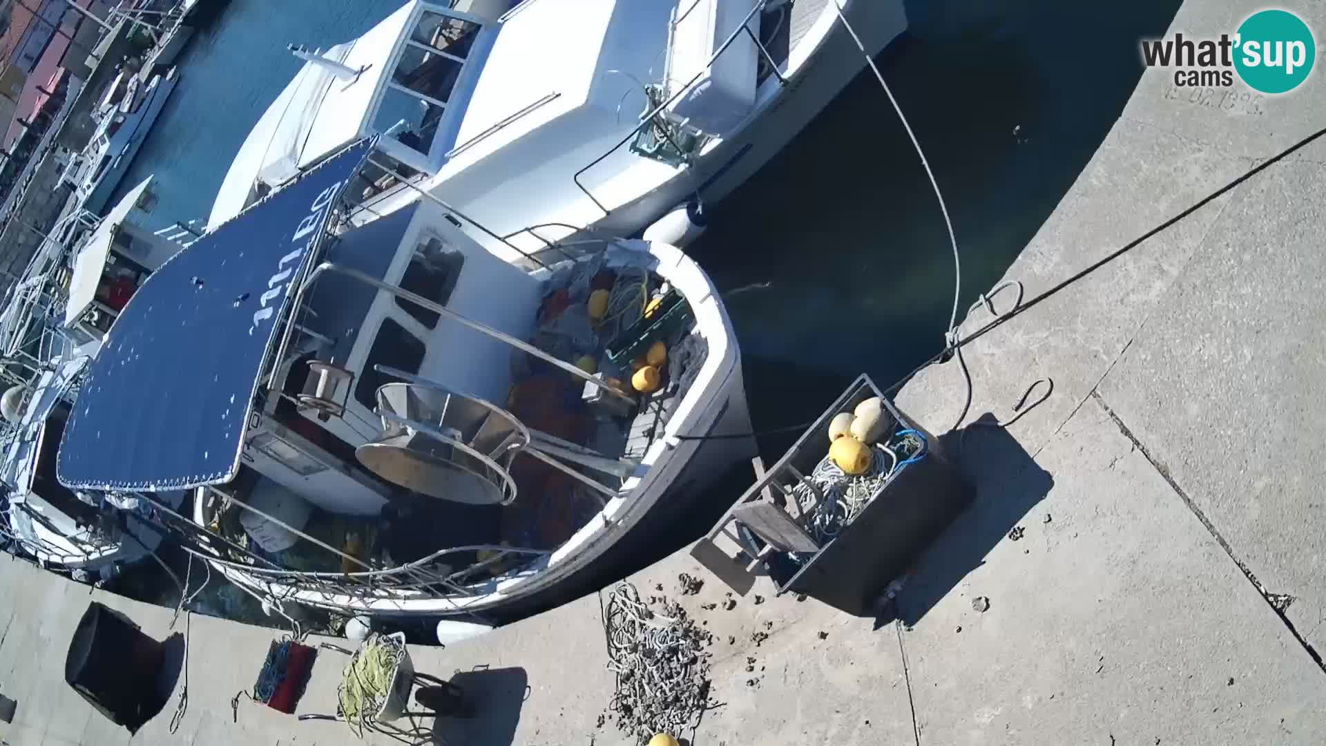 Webcam Tkon – marina e la città