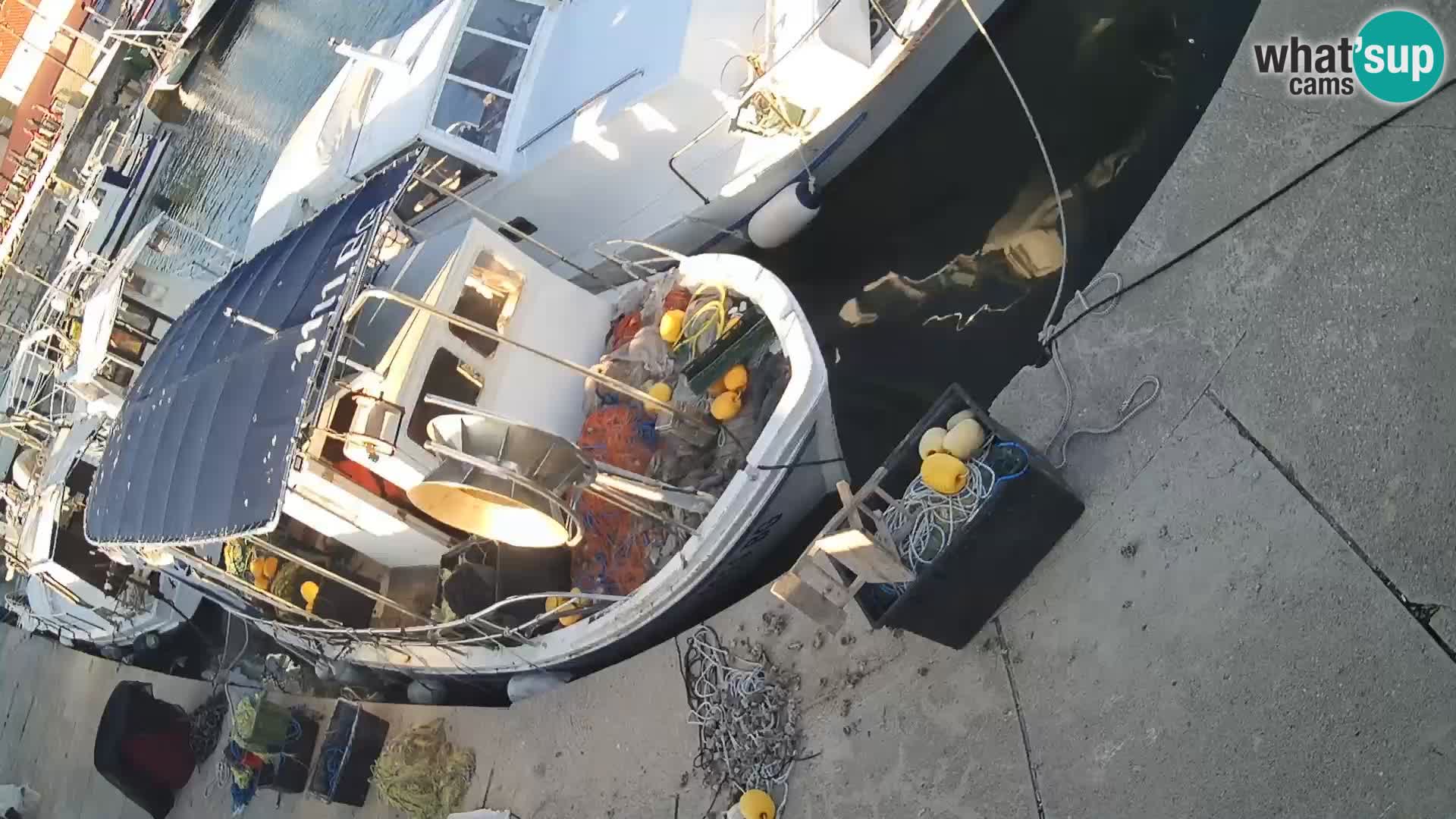 Spletna kamera Tkon – Marina in mesto