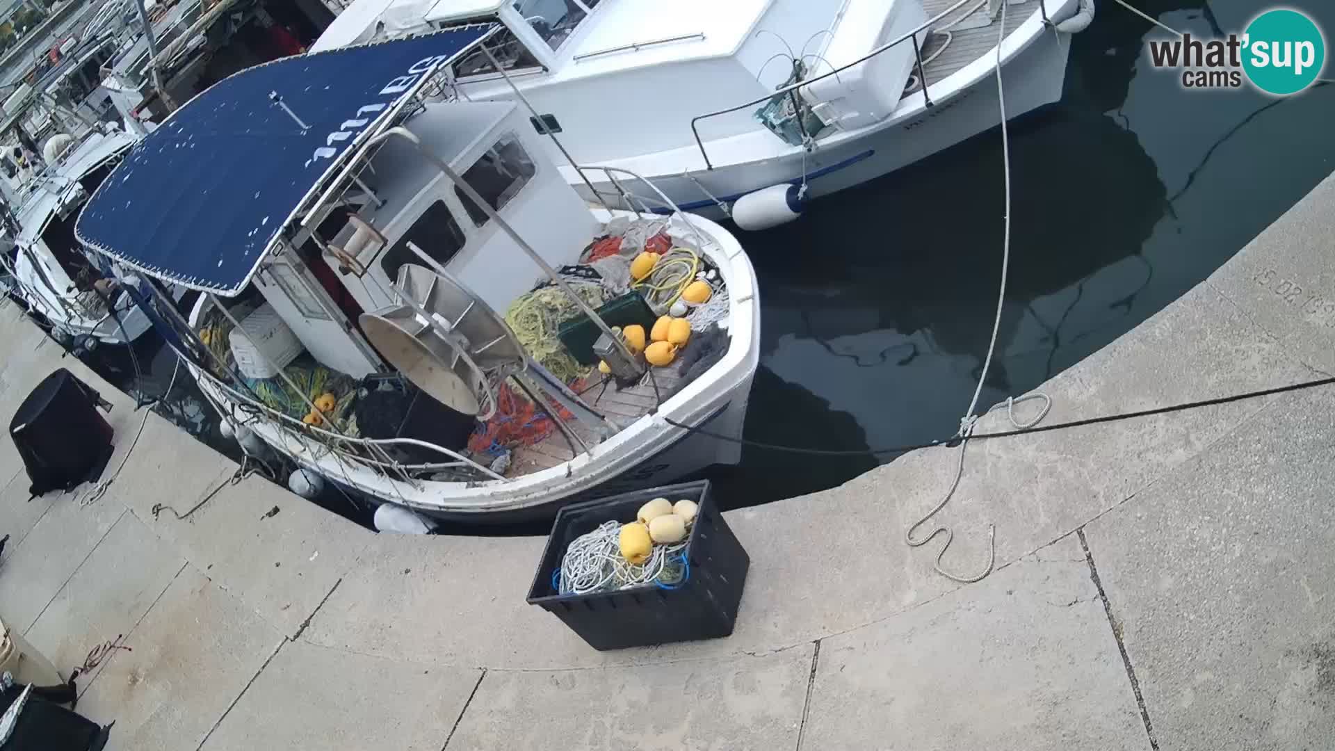 Webcam Tkon – marina e la città