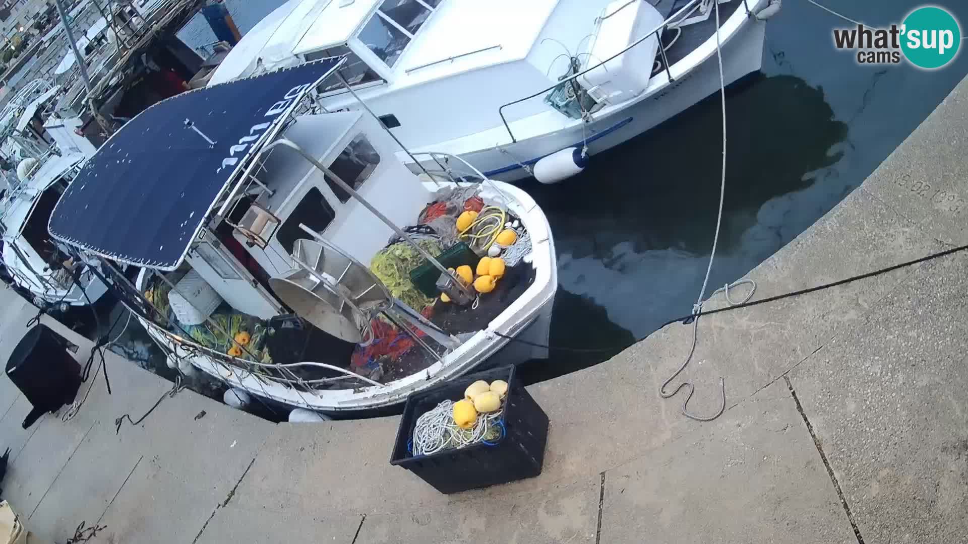 Webcam Tkon – marina e la città
