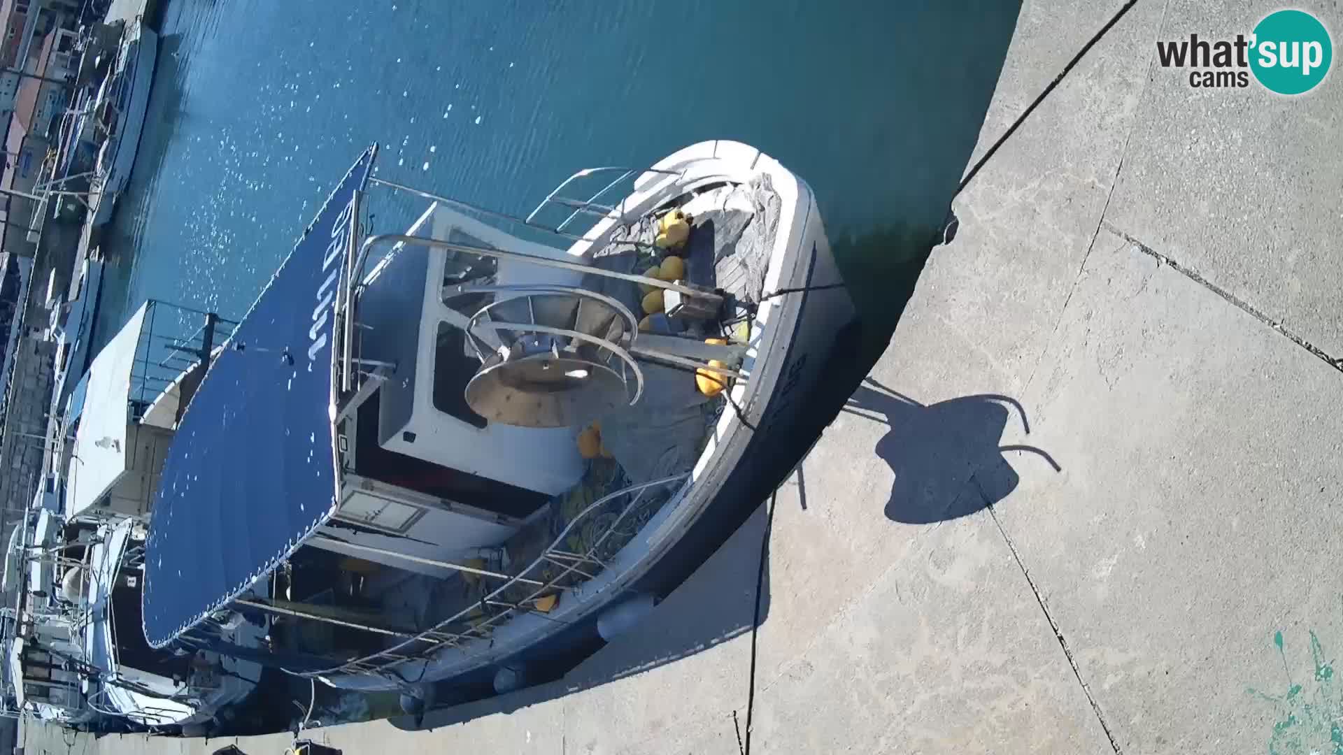 Webcam Tkon – marina e la città