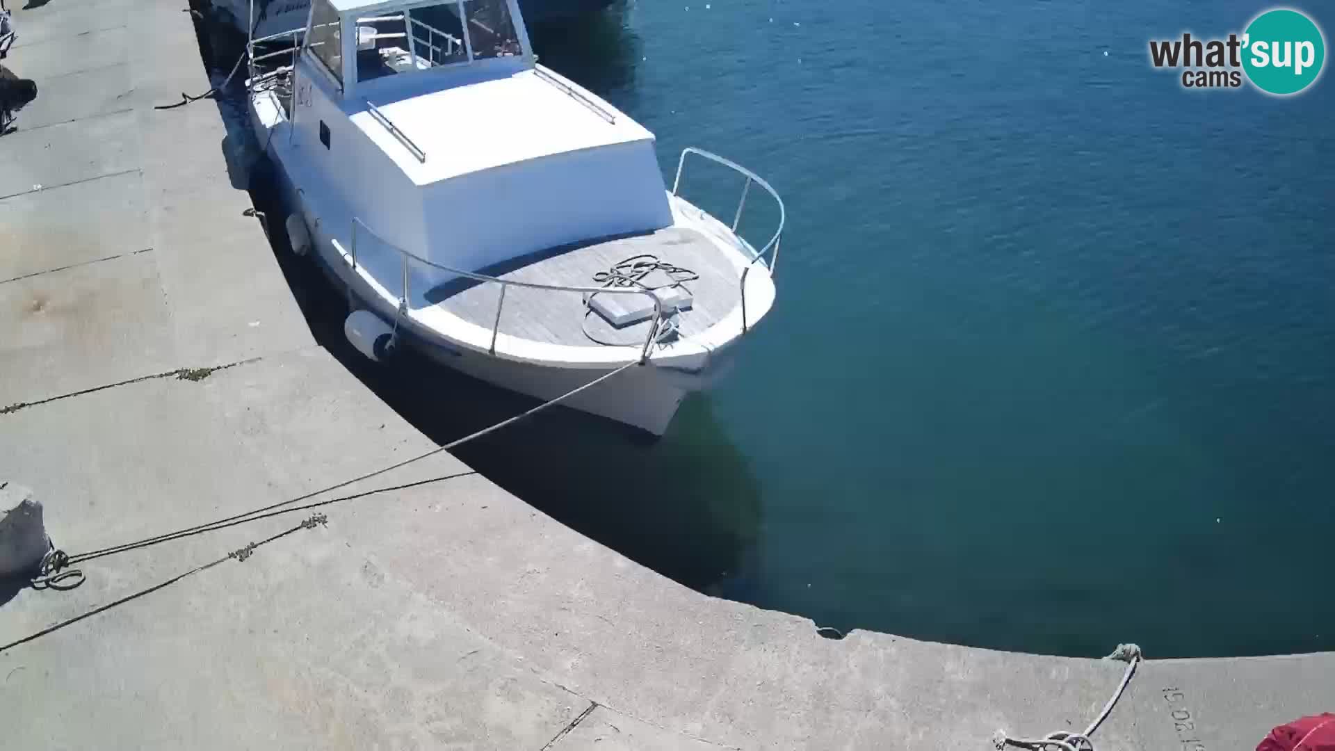 Spletna kamera Tkon – Marina in mesto