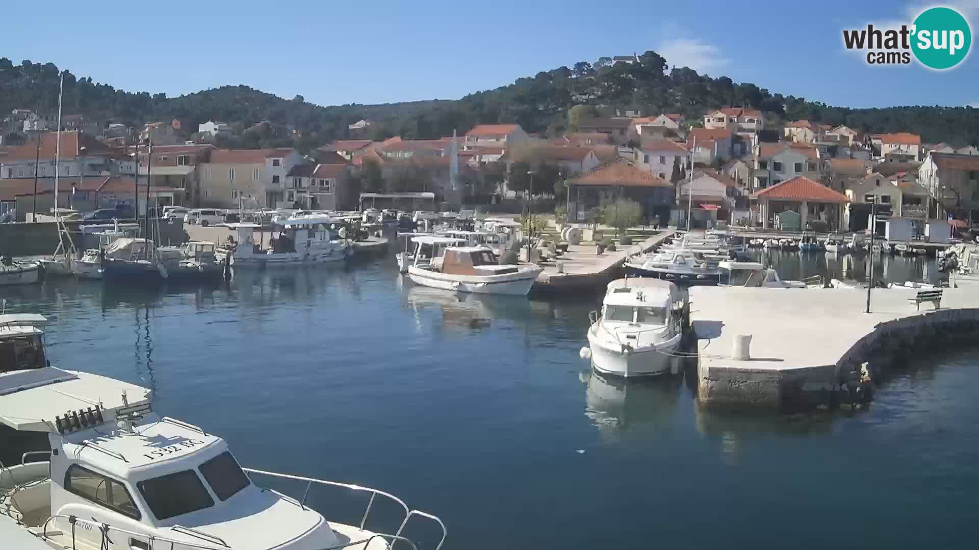 Webcam Tkon – marina and city