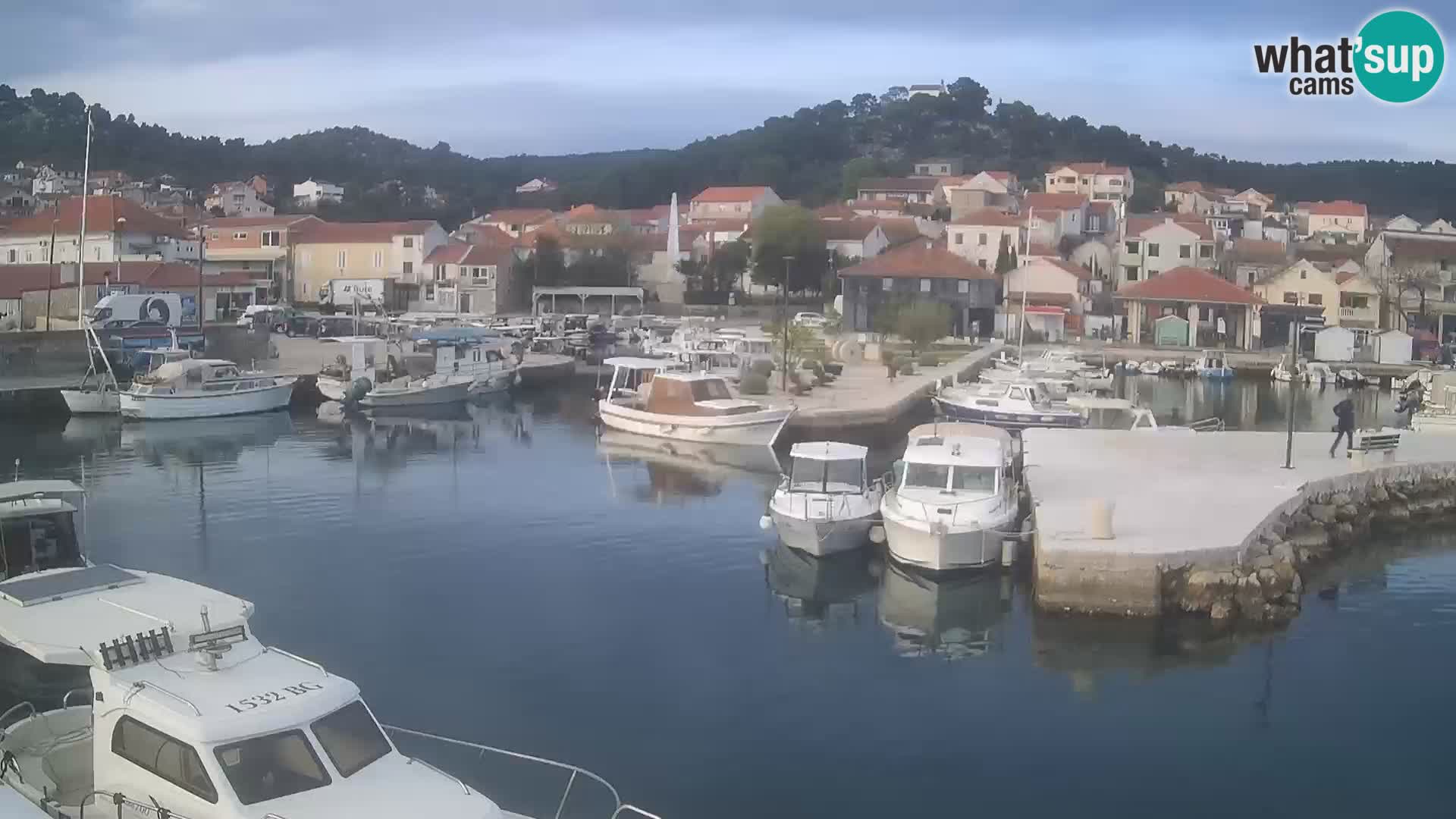 Webcam Tkon – marina and city