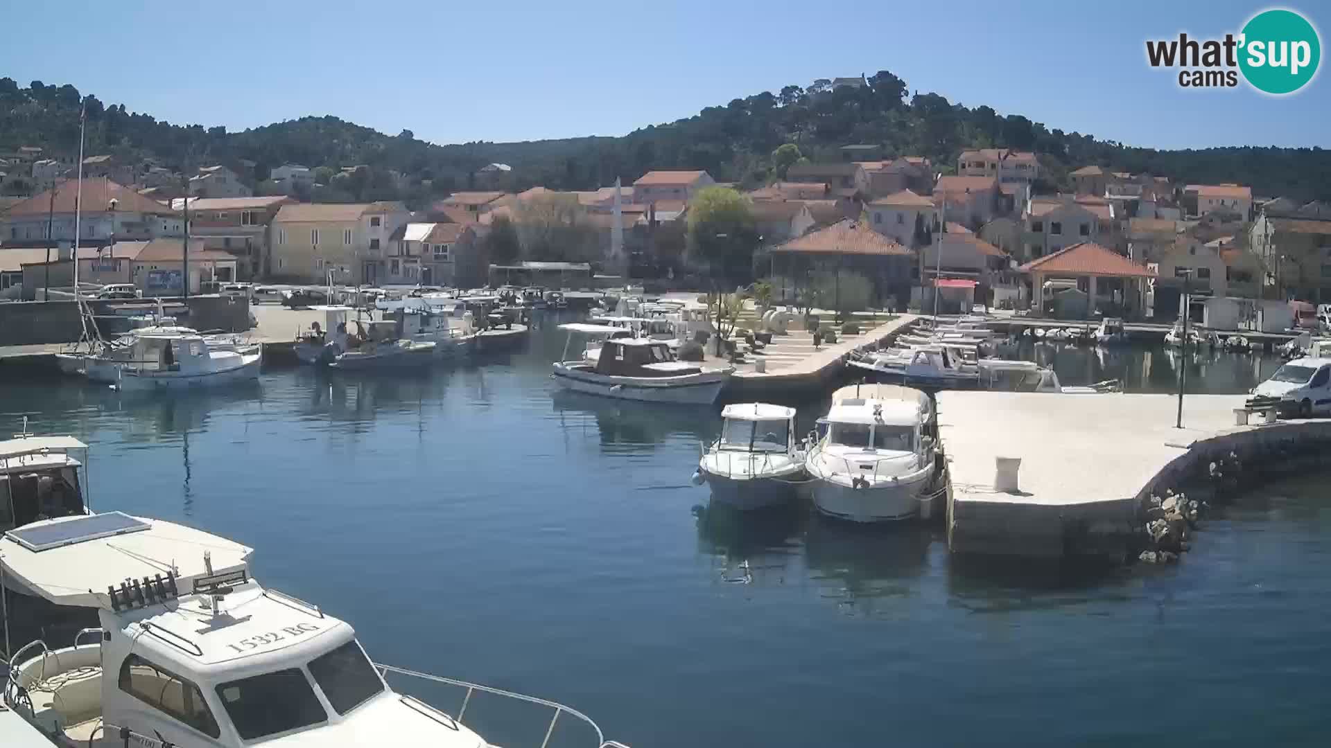 Webcam Tkon – marina und staad