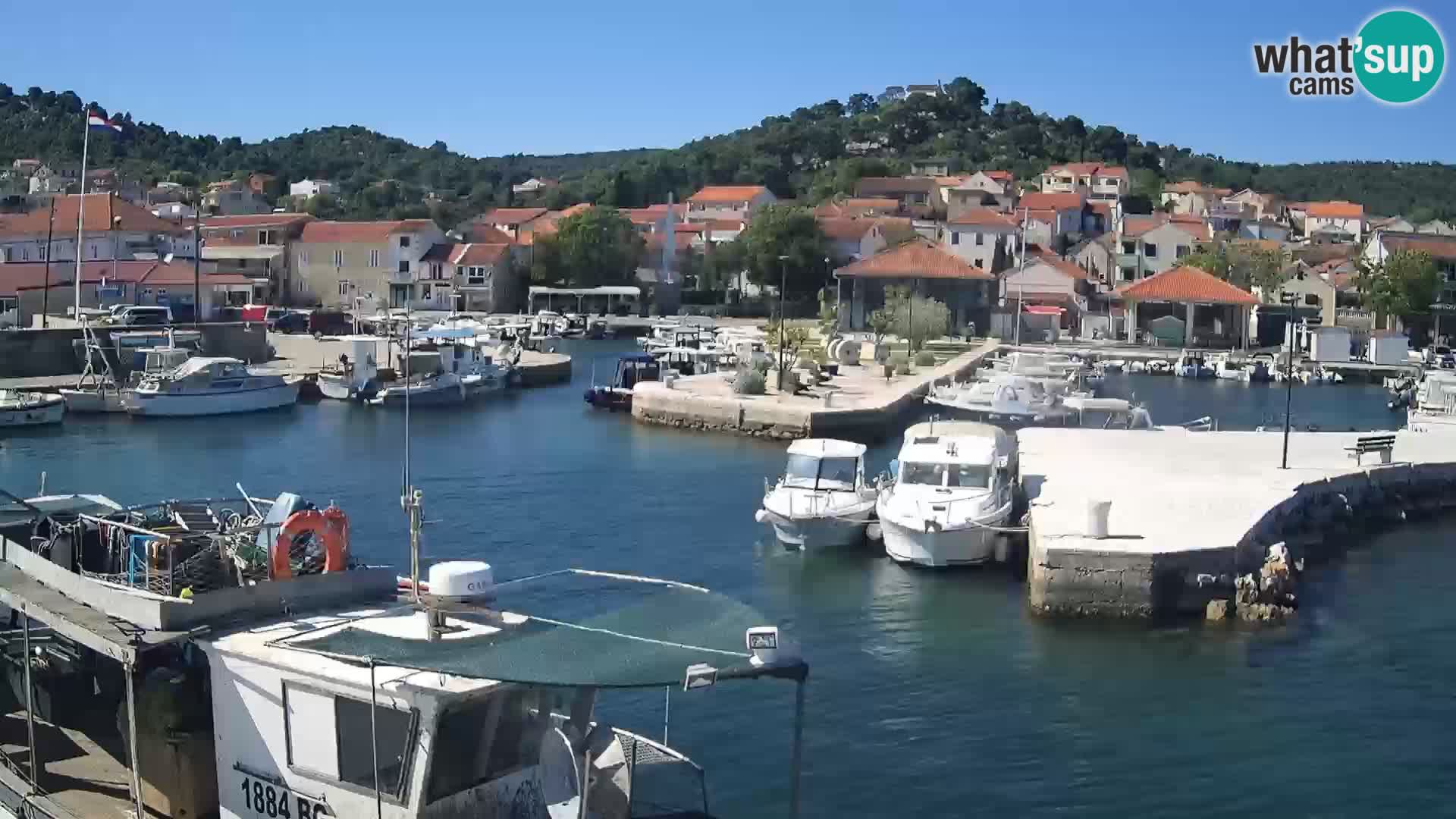 Webcam Tkon – marina and city