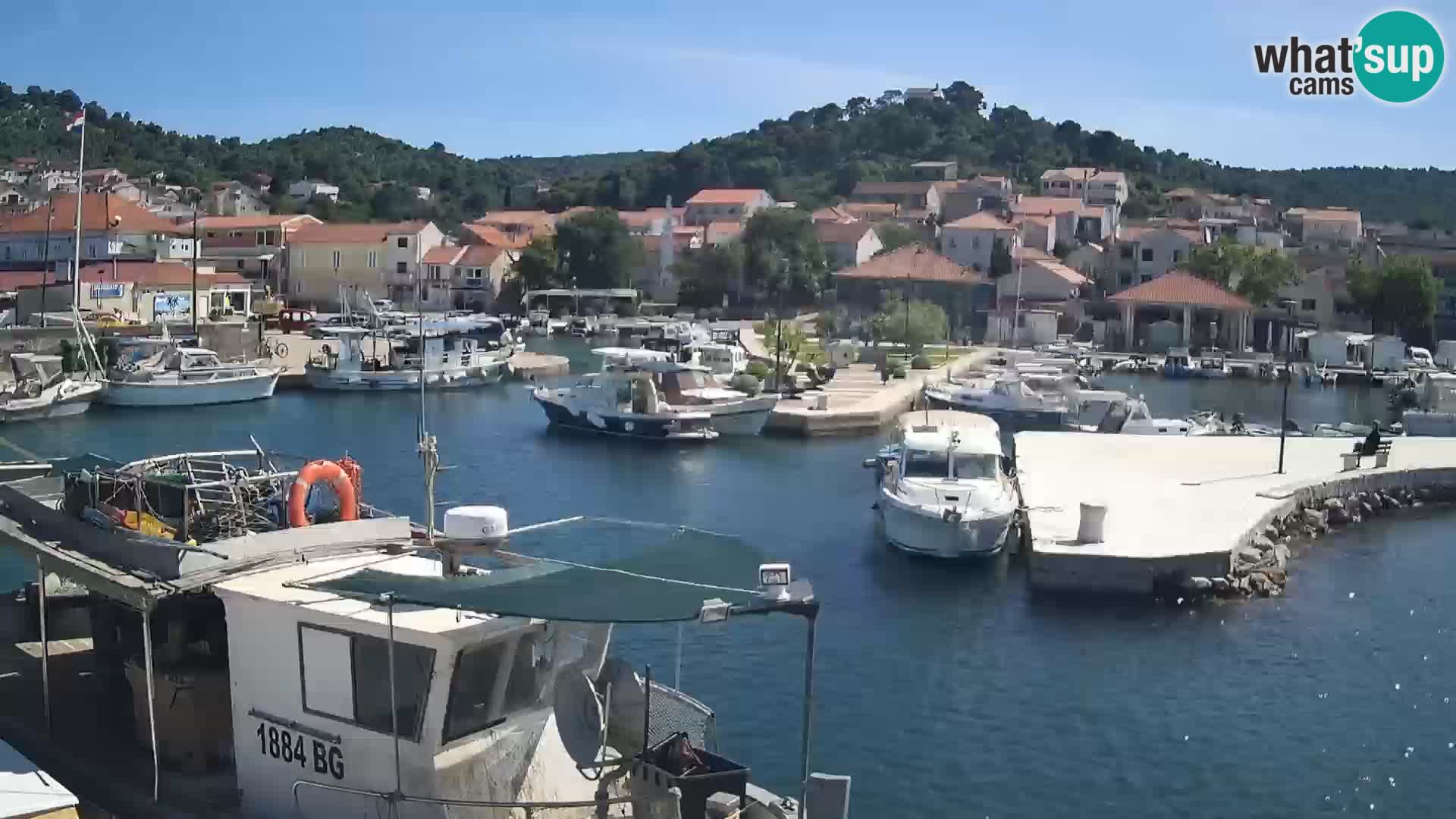 Webcam Tkon – marina and city
