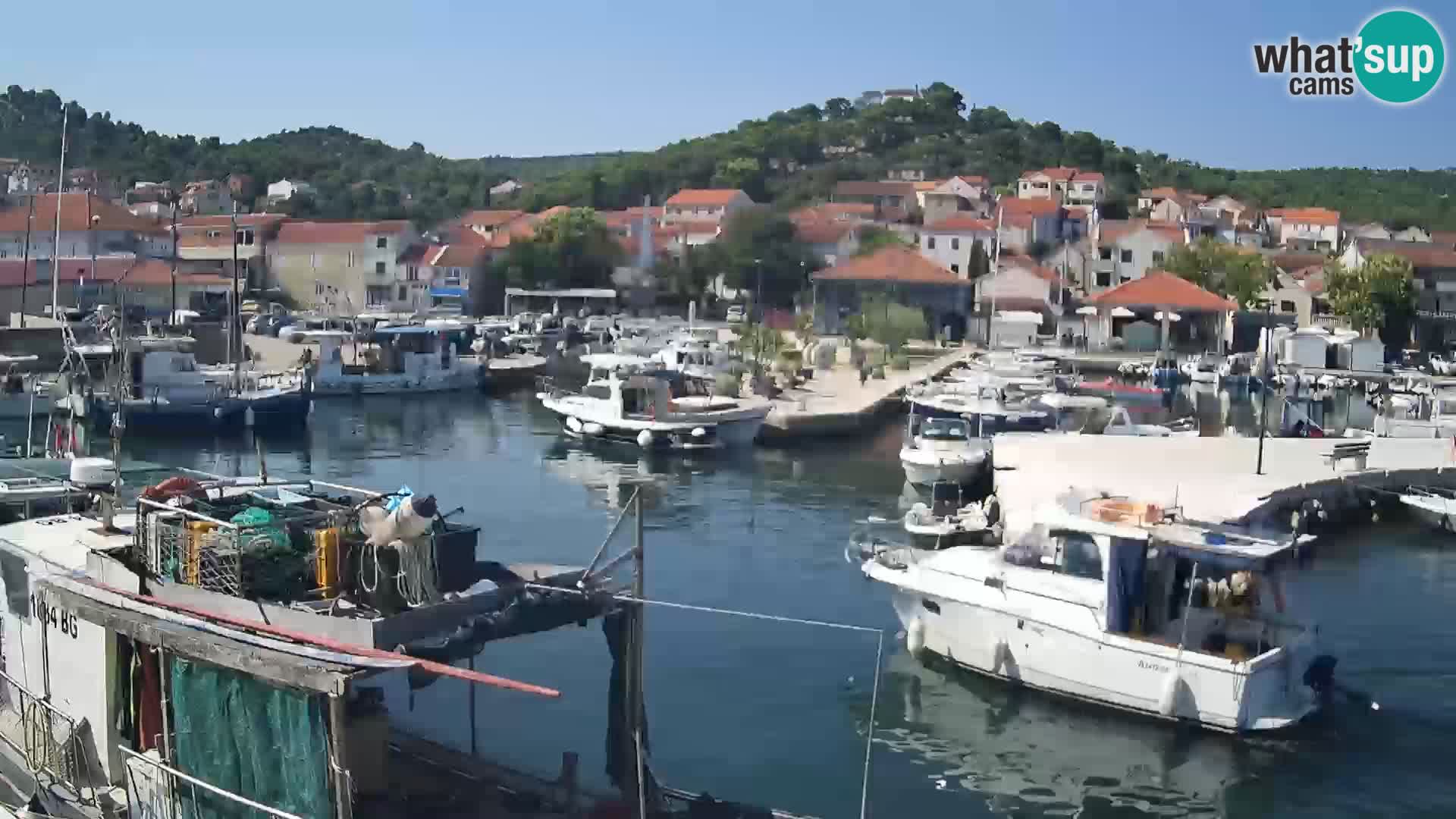 Webcam Tkon – marina and city