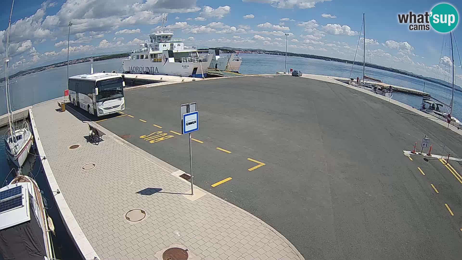 Tkon camera en vivo – Transportar – Dalmacia – Croacia