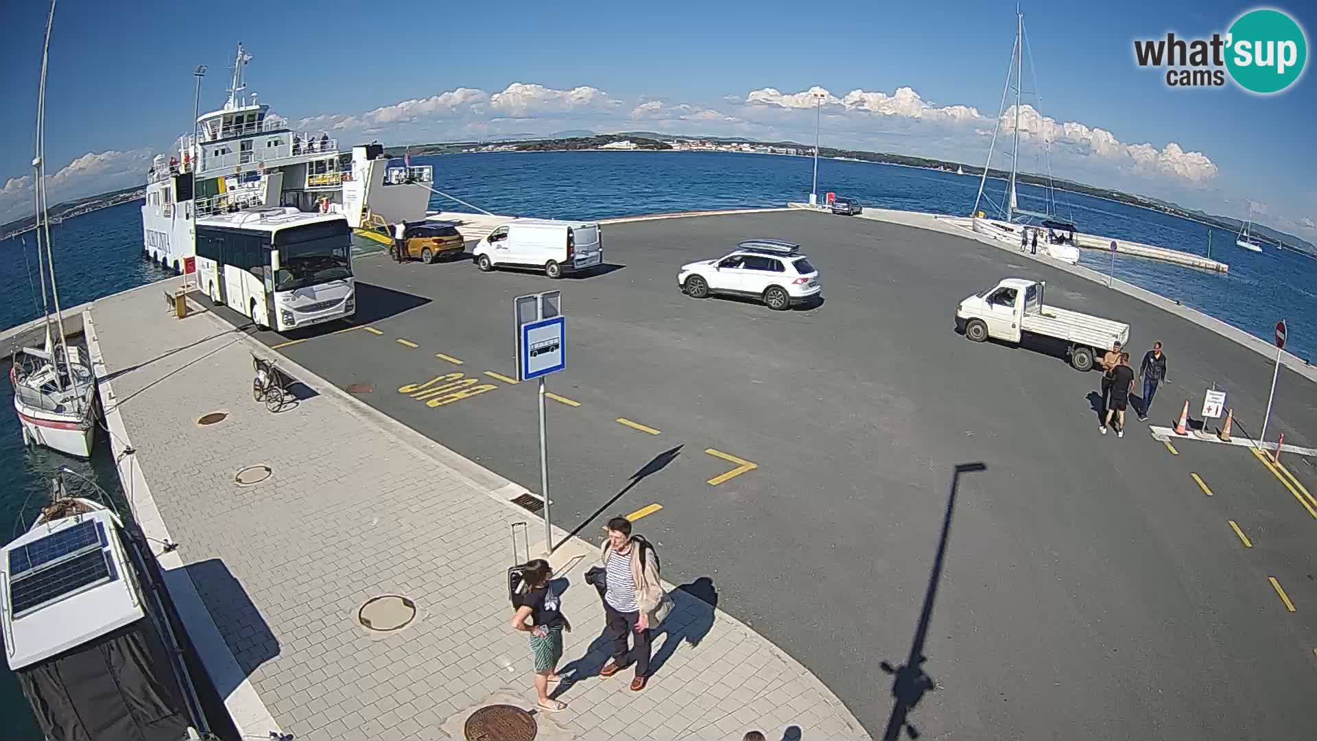 Tkon camera en vivo – Transportar – Dalmacia – Croacia