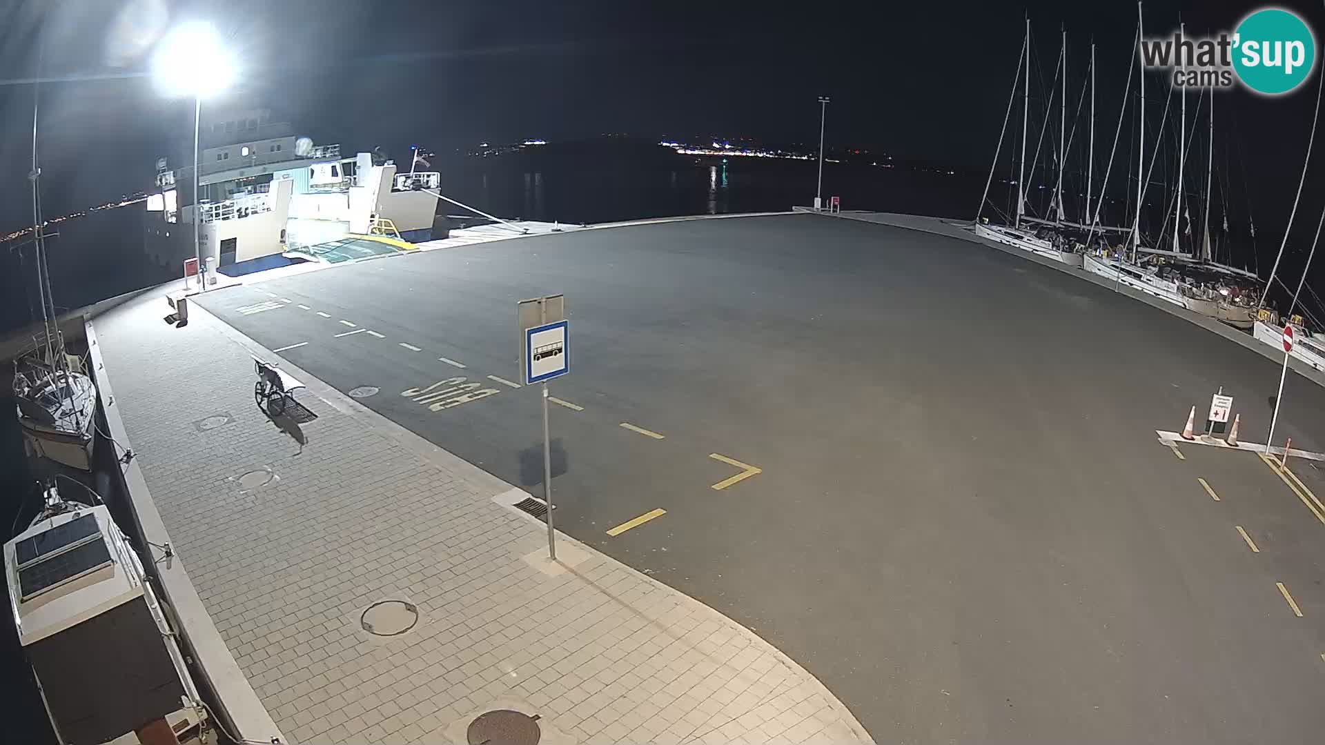 Tkon v živo – trajekt – Dalmacija – Hrvaška