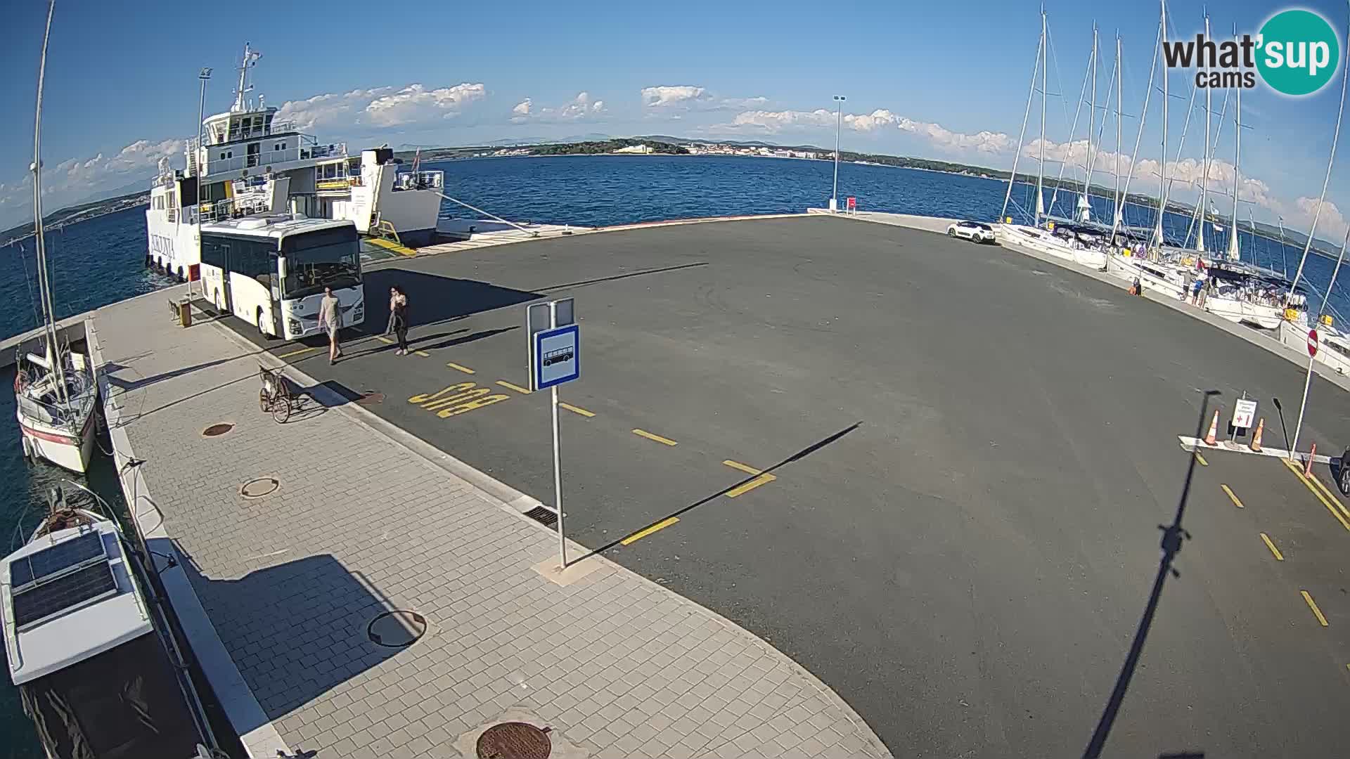 Tkon Live cam – traghetto – Dalmazia – Croazia