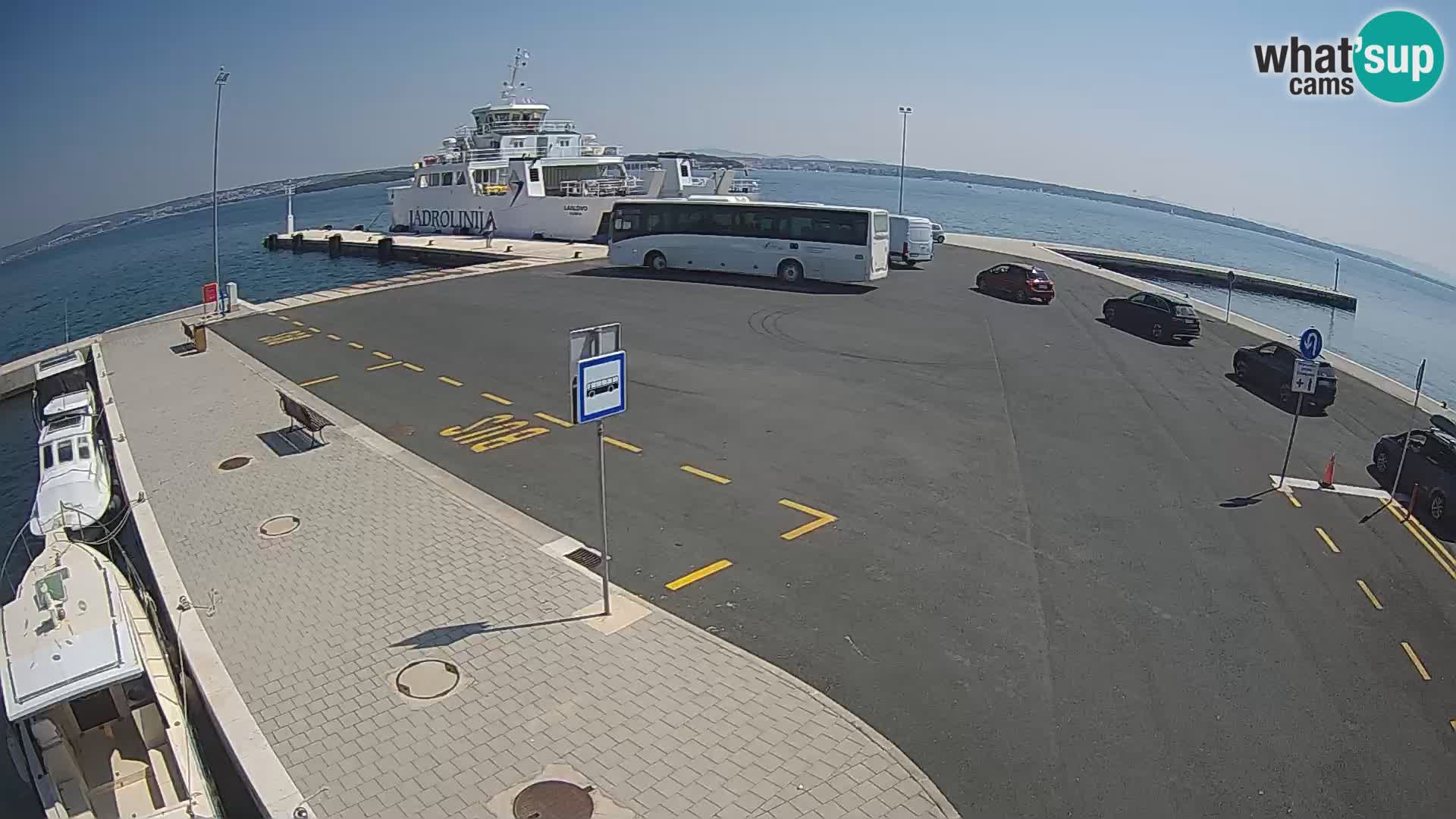 Tkon camera en vivo – Transportar – Dalmacia – Croacia