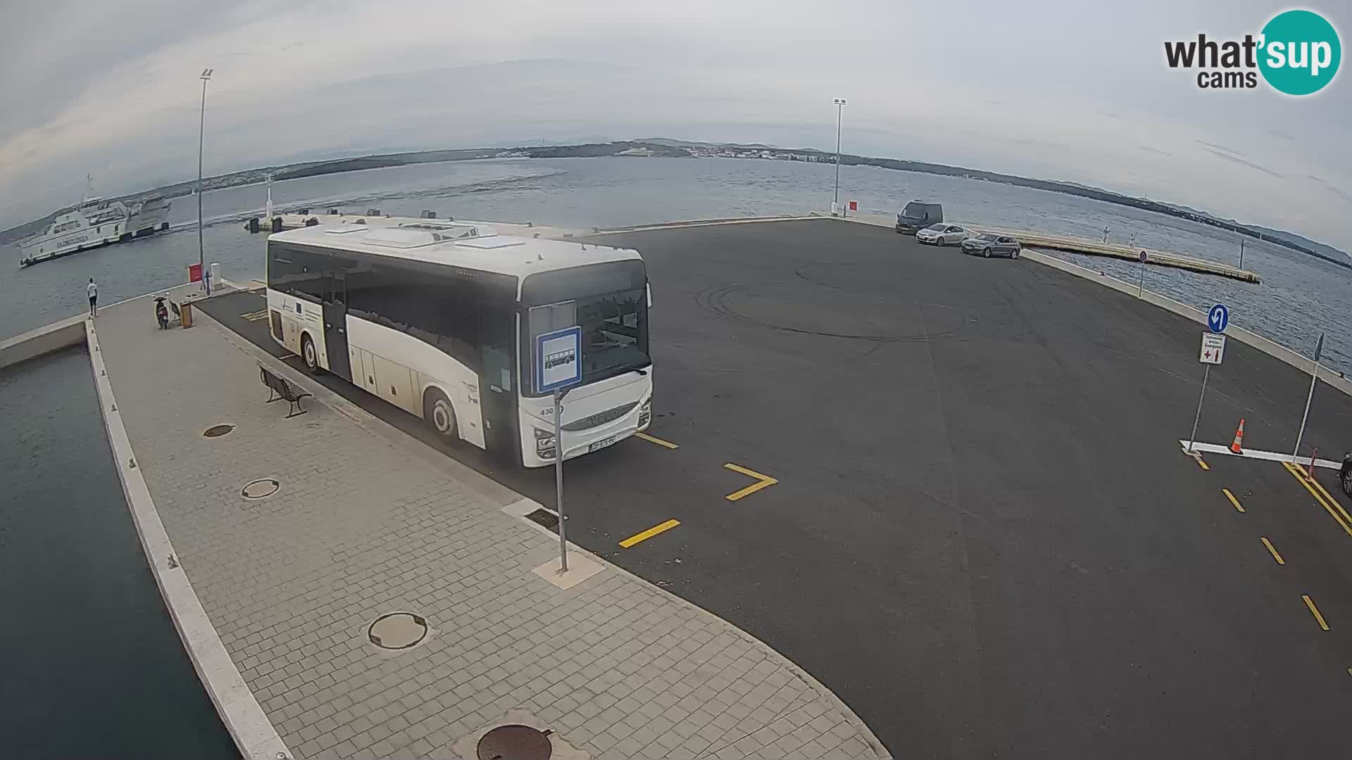 Tkon camera en vivo – Transportar – Dalmacia – Croacia