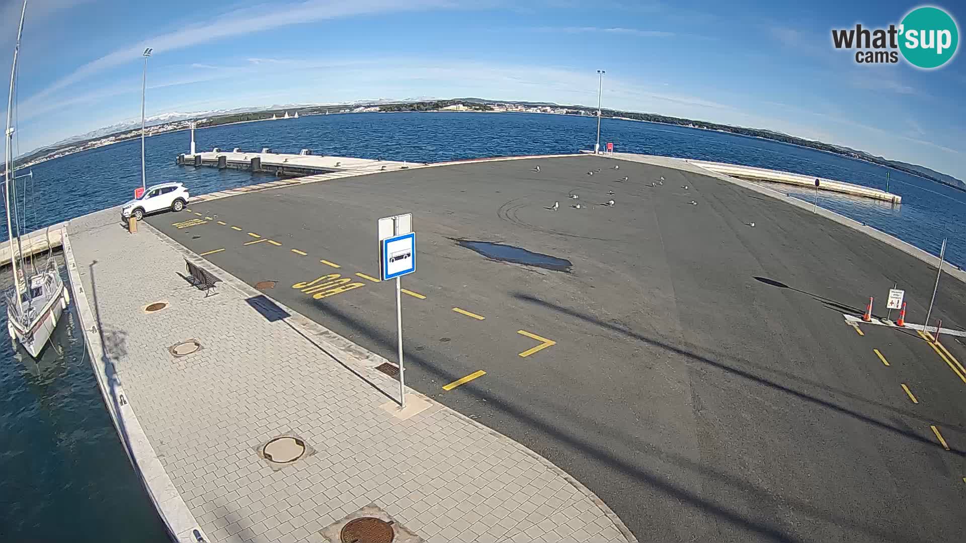 Tkon Live cam – ferry – Dalmatia – Croatia