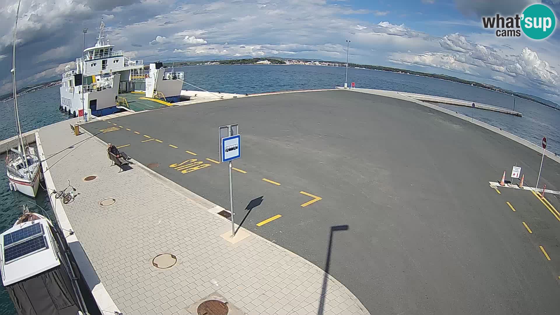 Tkon camera en vivo – Transportar – Dalmacia – Croacia