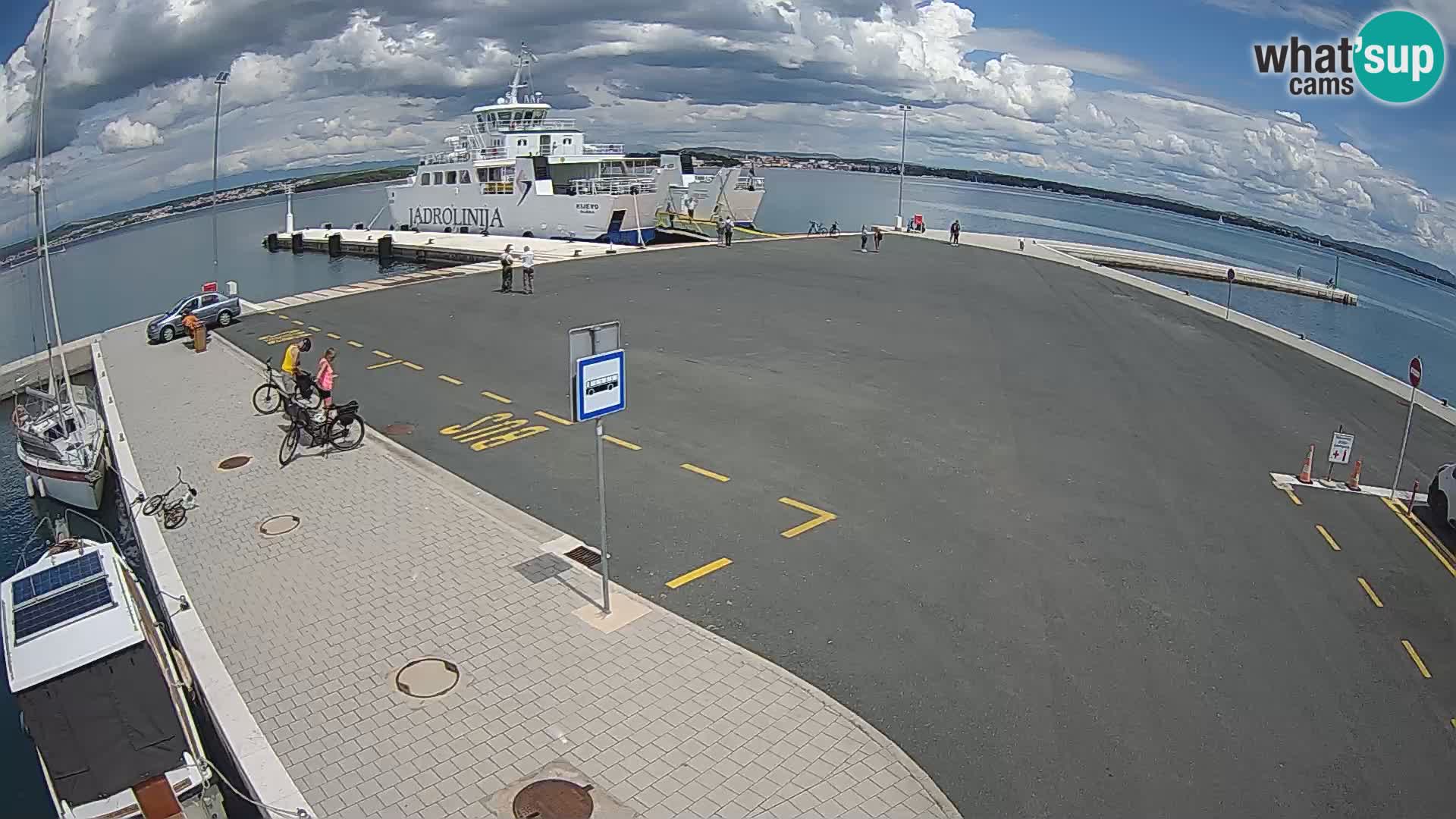 Tkon v živo – trajekt – Dalmacija – Hrvaška